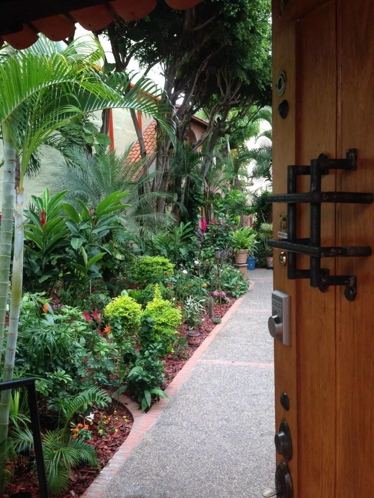 Day, Garden in Hacienda Escondida Puerto Vallarta