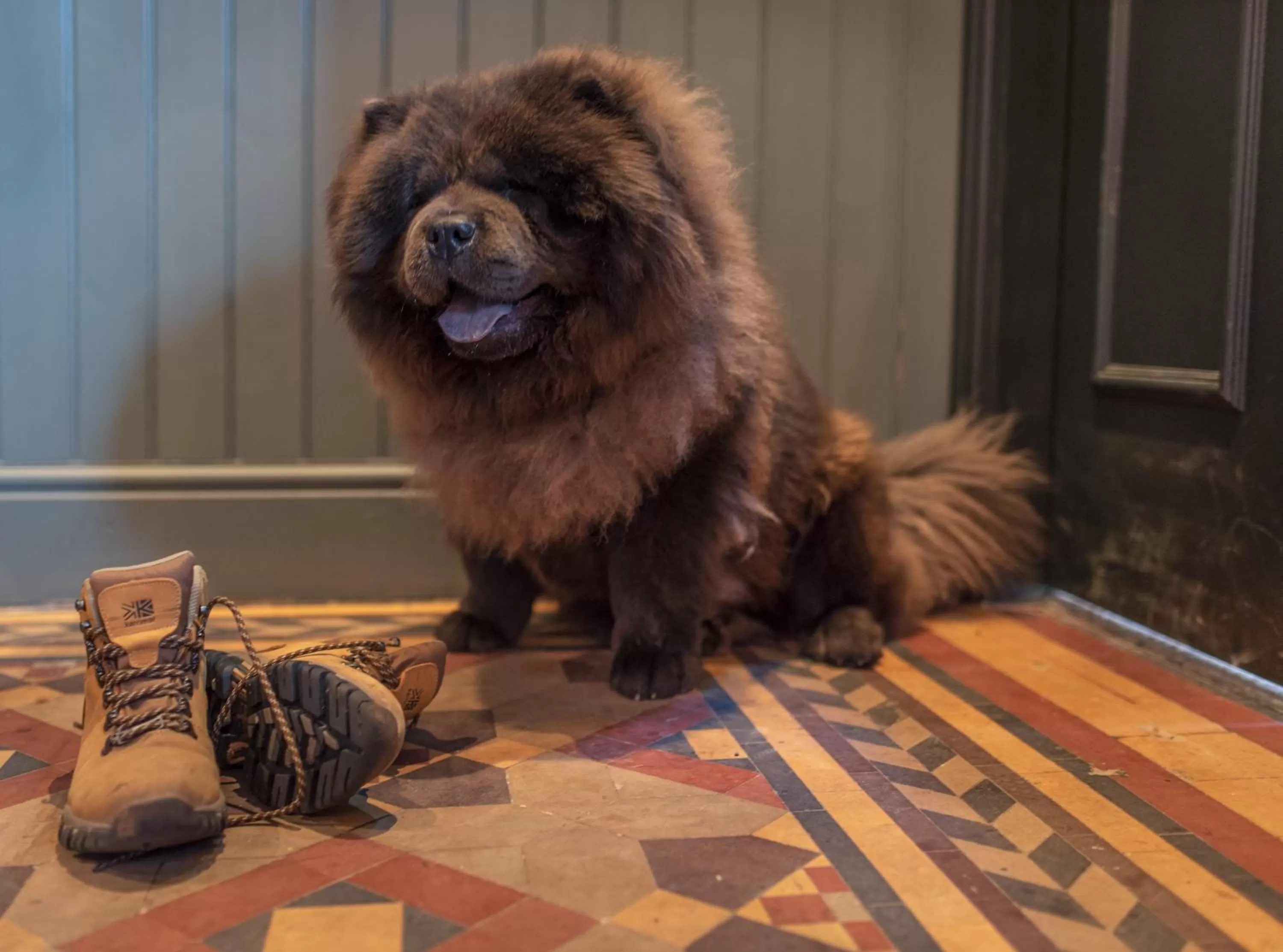Lobby or reception in Black Bull Hotel