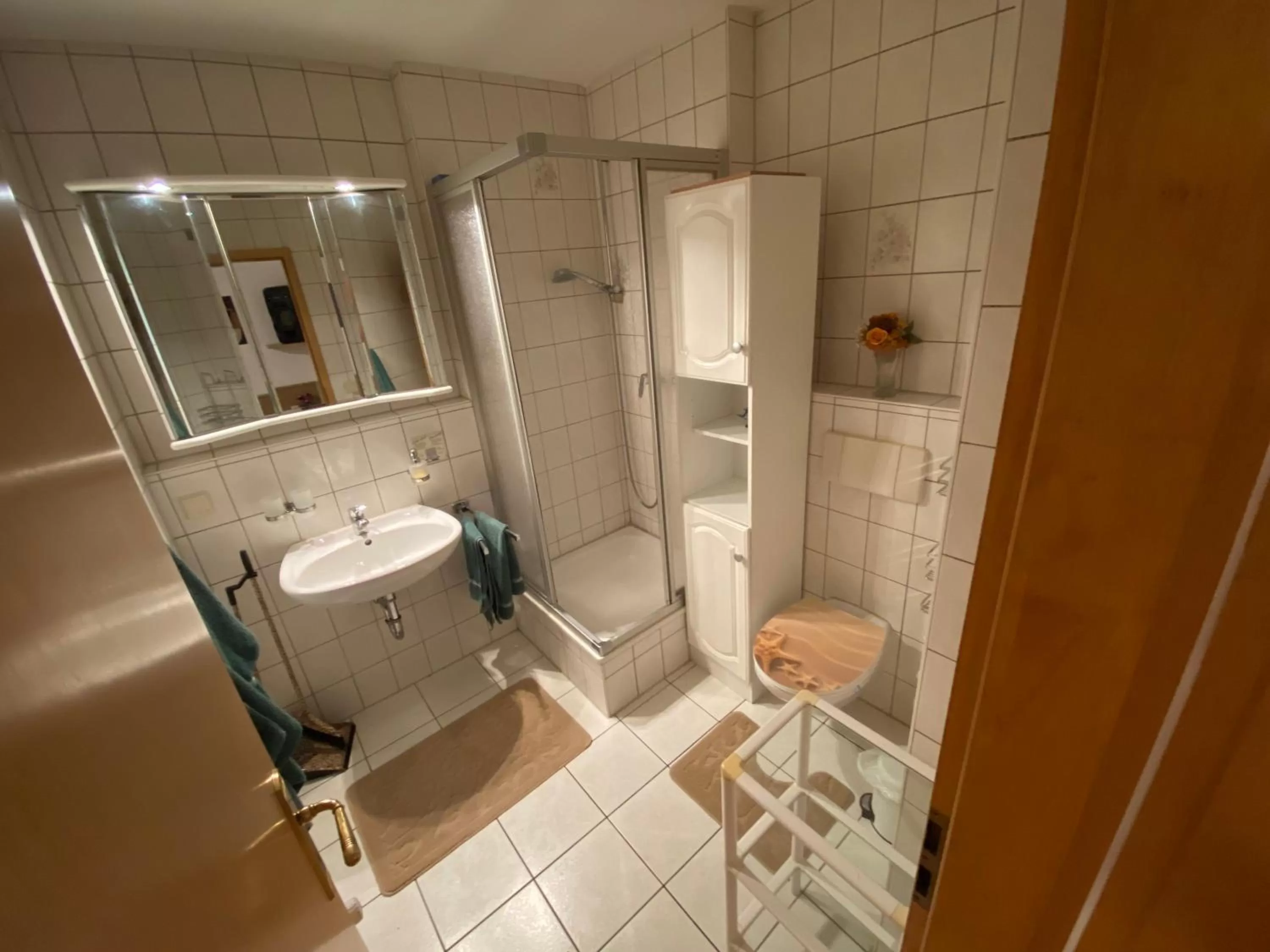 Shower in Hotel Bielatal