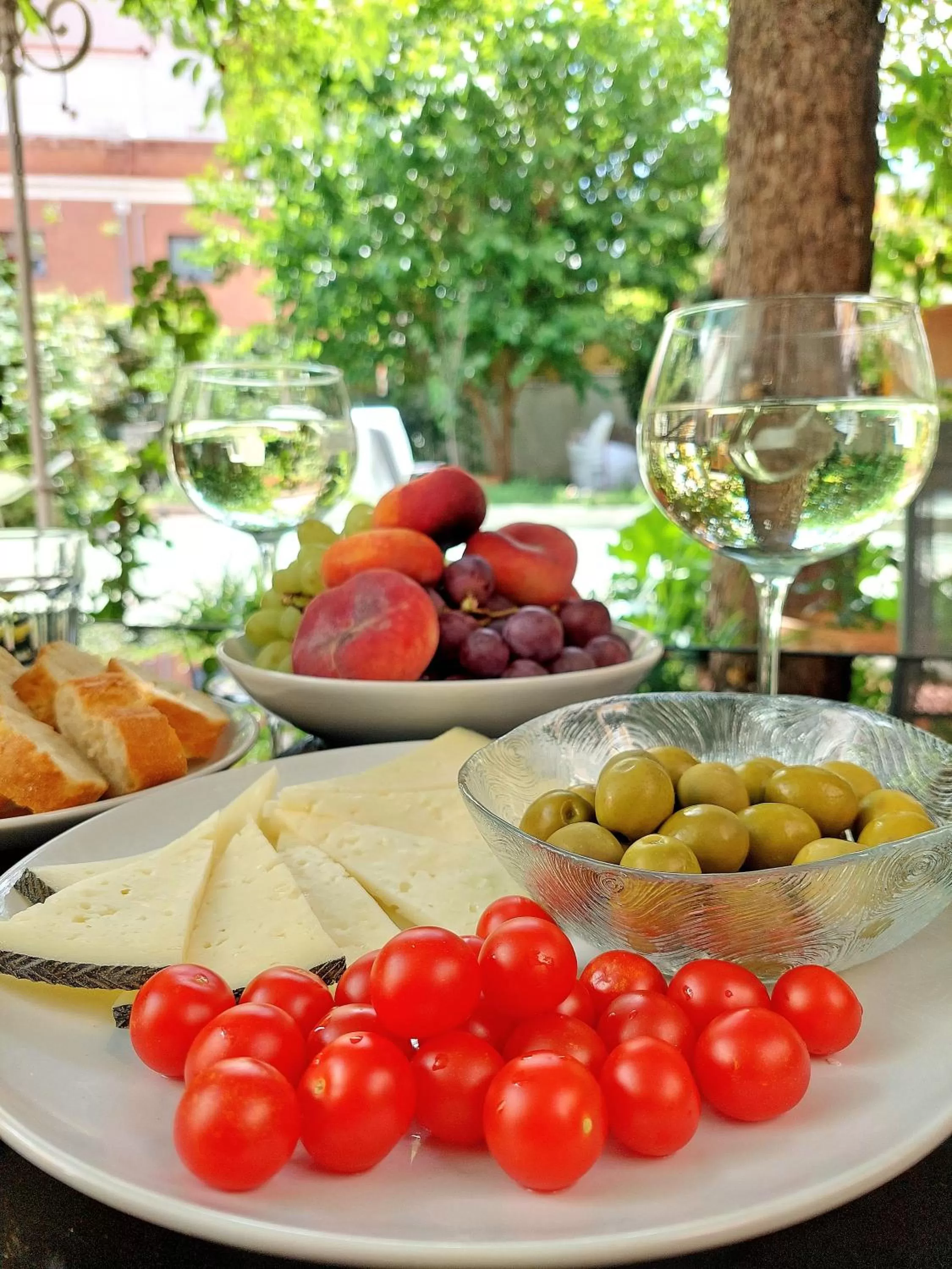 Garden in N1 Casa de Madrid - greenpeace line