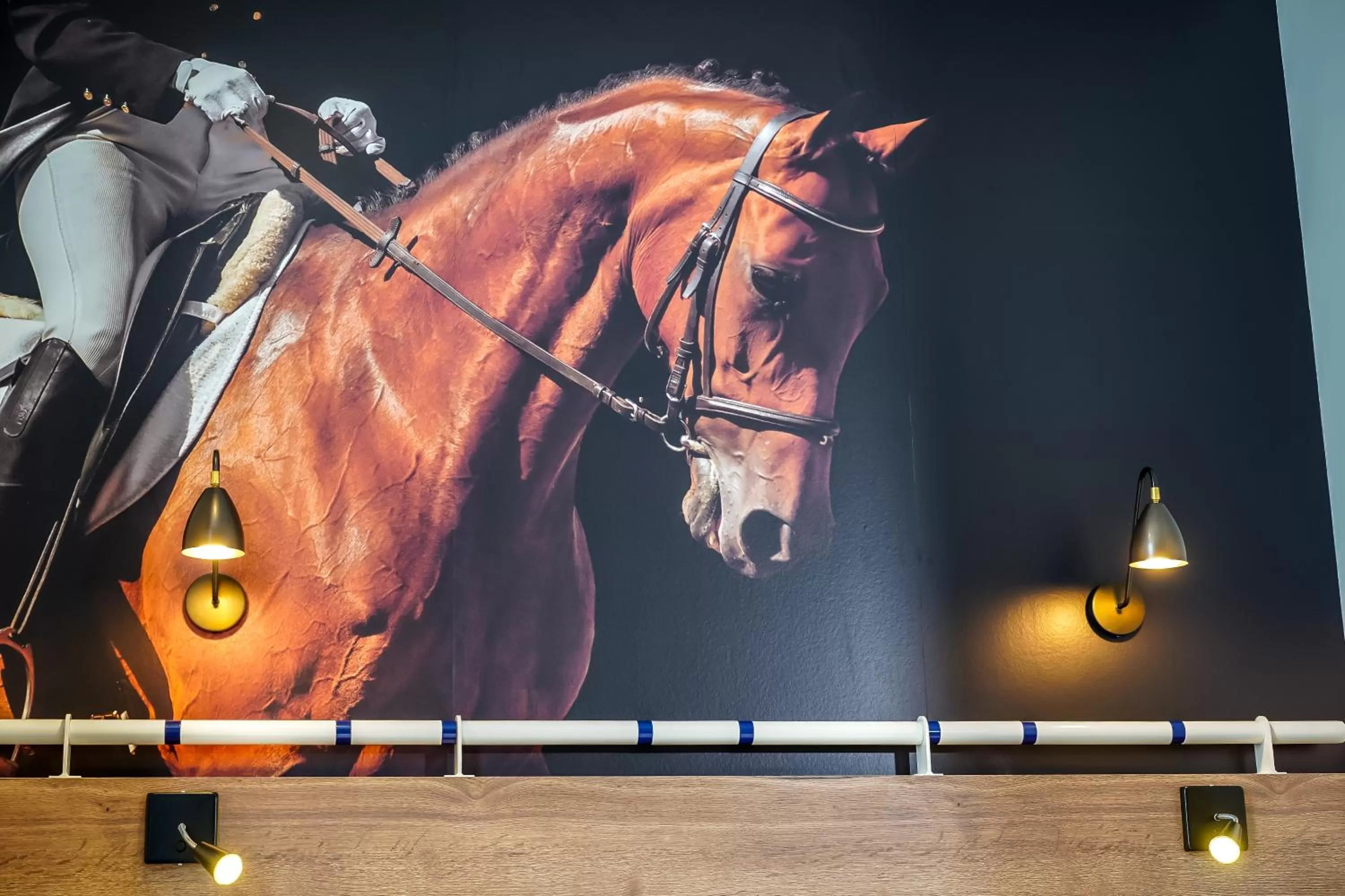 Horse-riding in ibis Styles Saumur Gare Centre