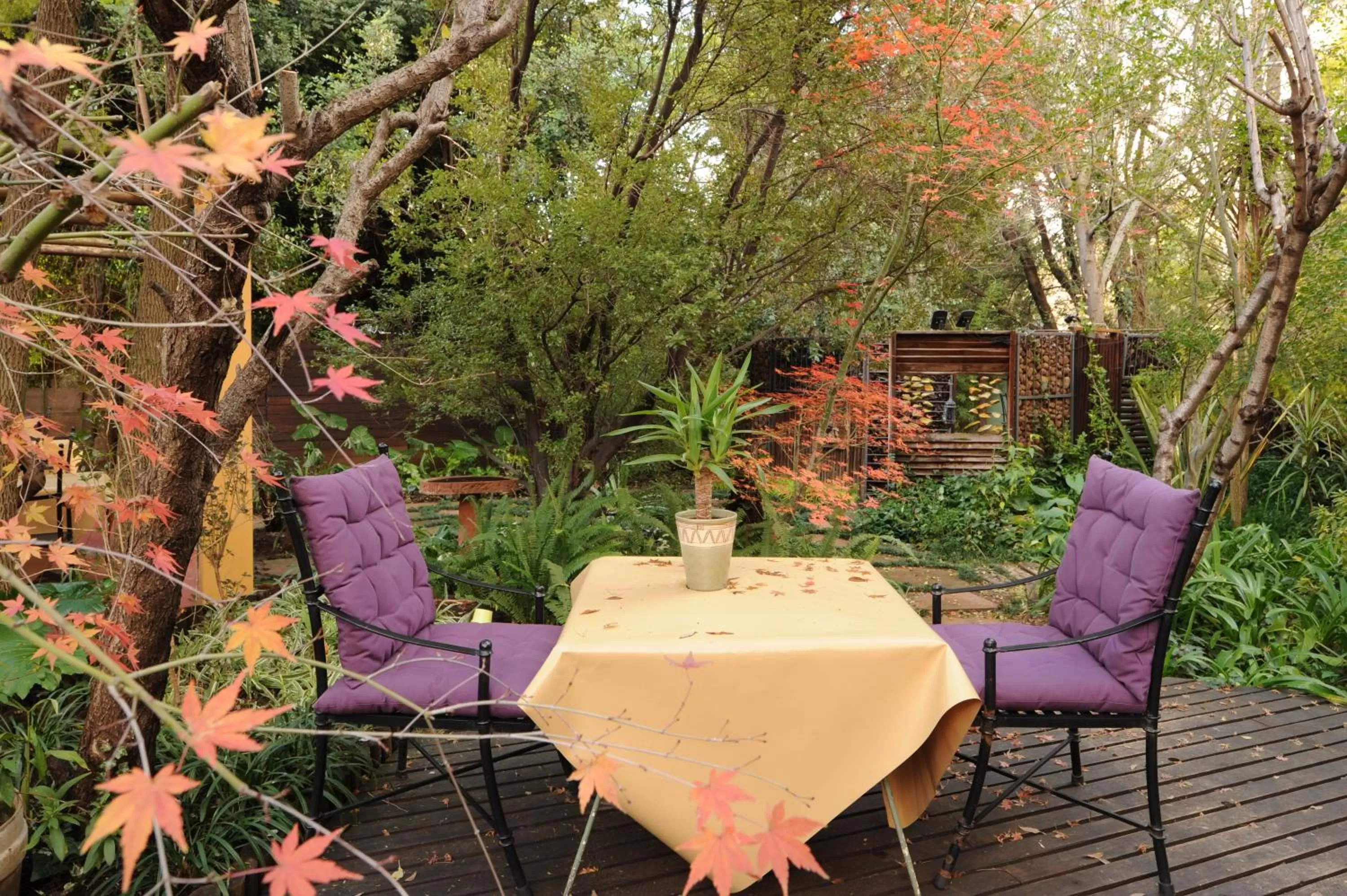 Garden in Jedidja Bed and Breakfast