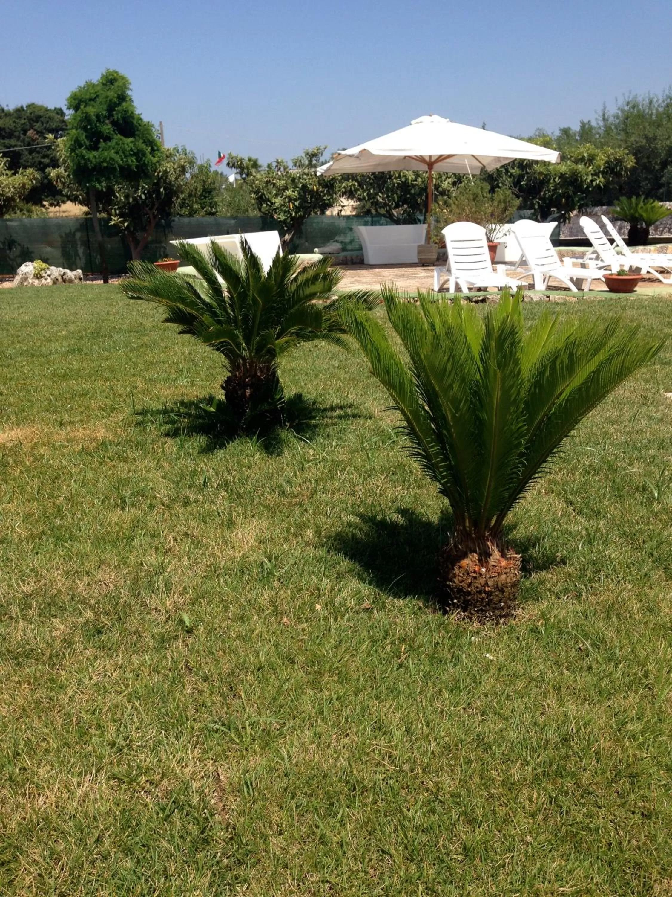 Garden view, Garden in B&B Villa Grassi