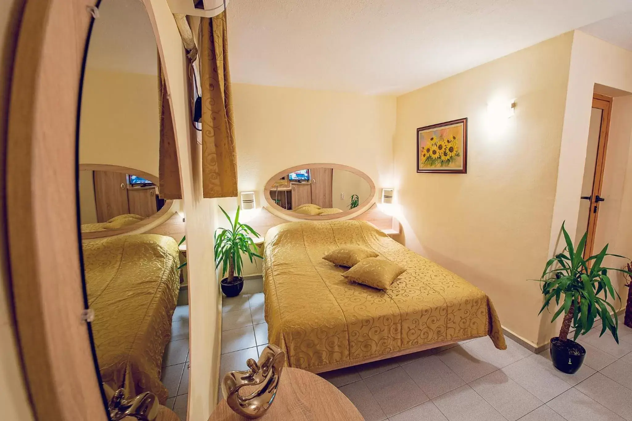 Double Room - single occupancy - Basement in Hotel Color Double Room - single occupancy - Basement in Hotel Color