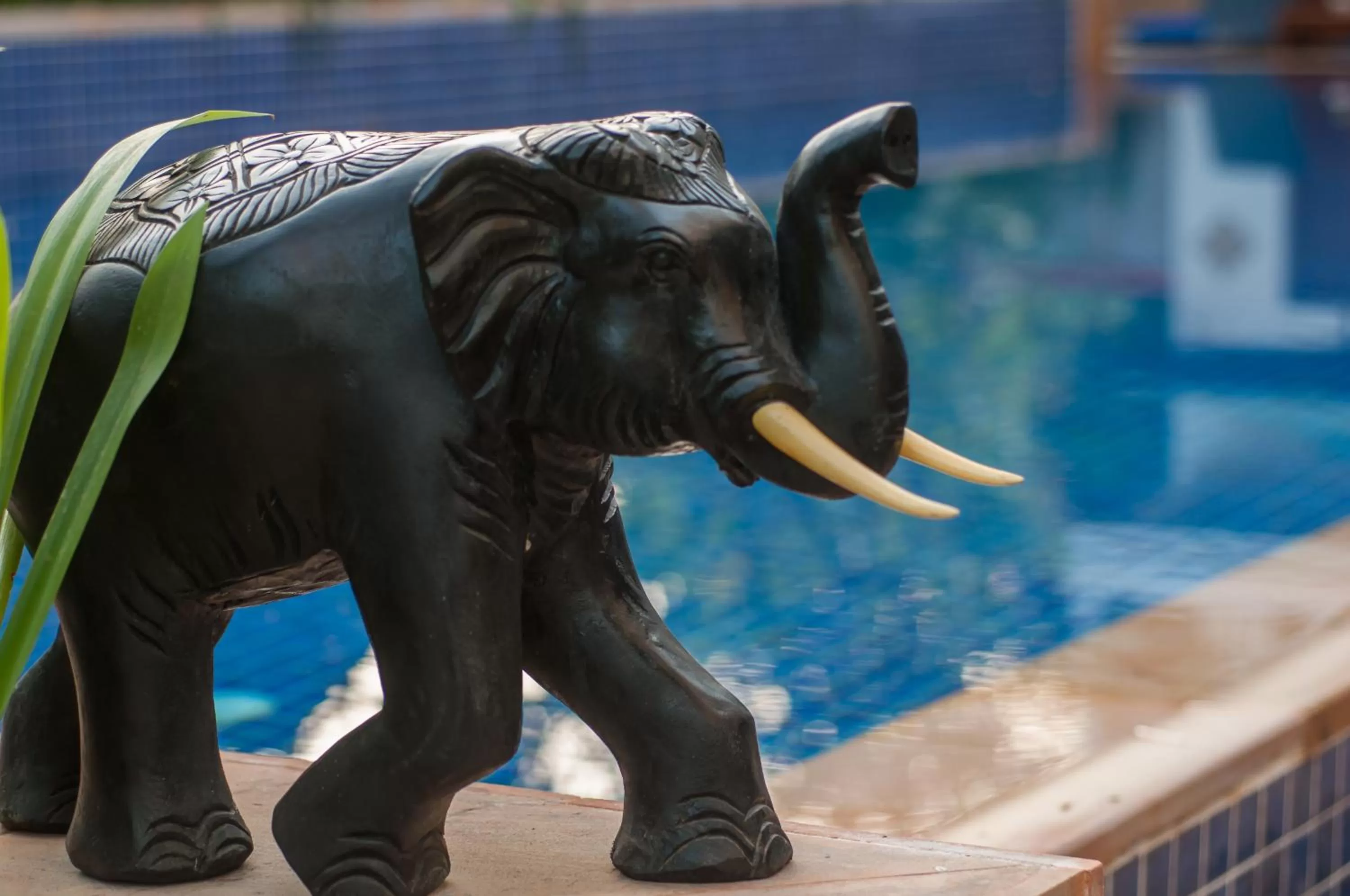 Decorative detail in Landing Gold by Amatak