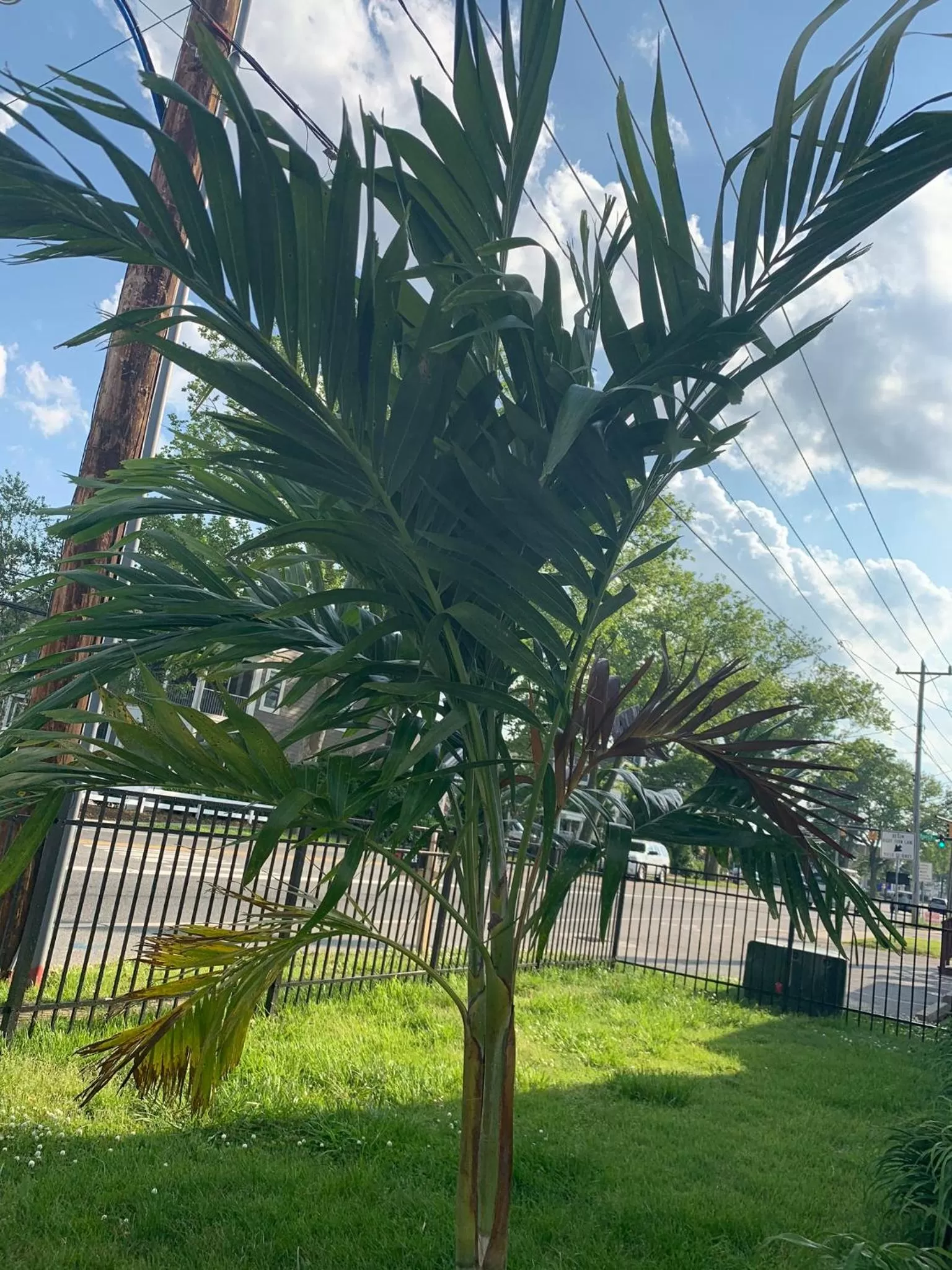 View (from property/room) in Ocean Glass Inn