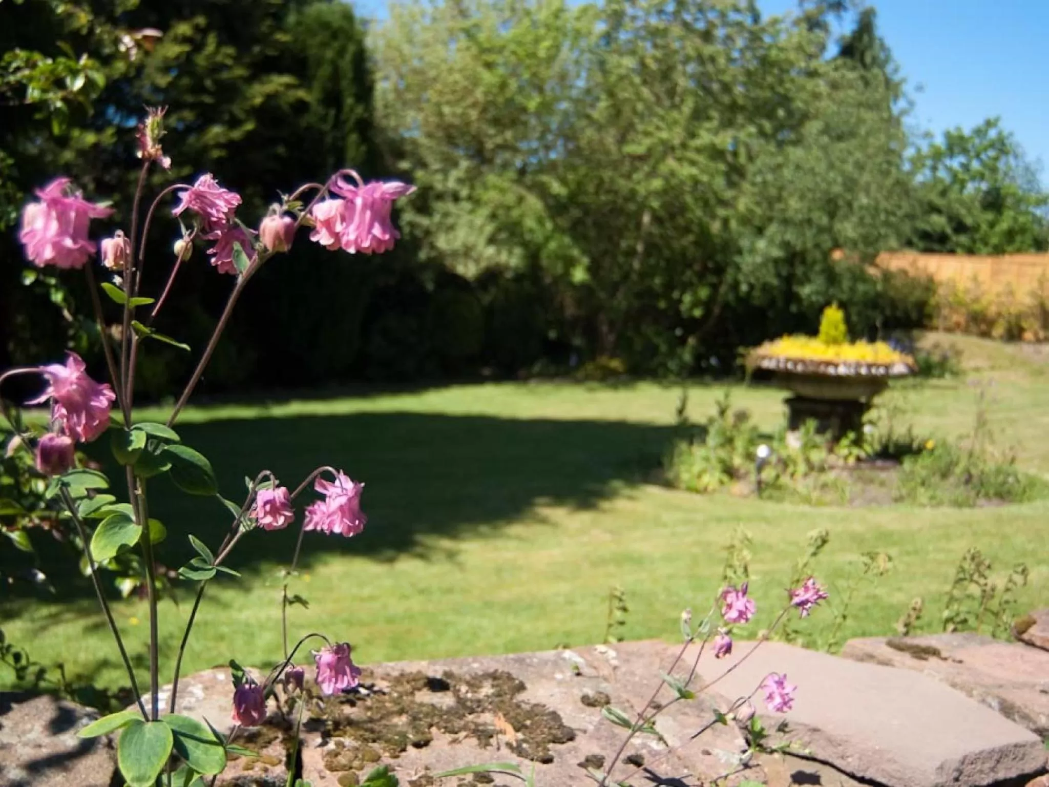 Garden in Edenhall Country Hotel