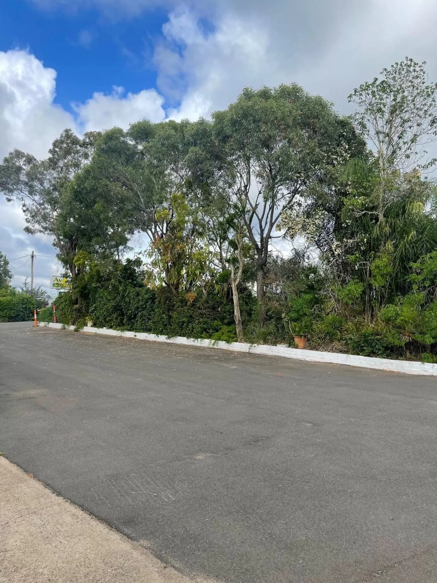 Natural landscape in Avocado Motor Inn