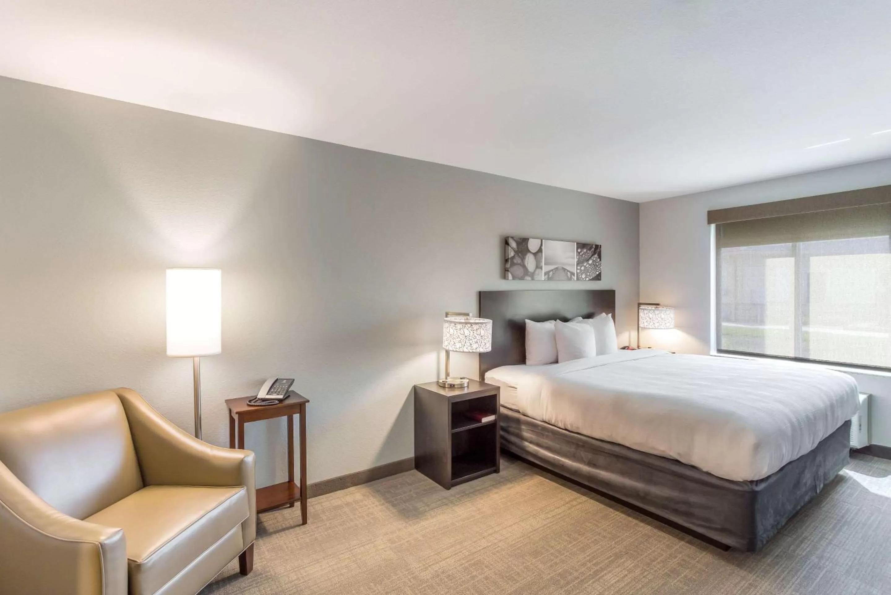 Photo of the whole room, Bed in MainStay Suites Logan Ohio-Hocking Hills