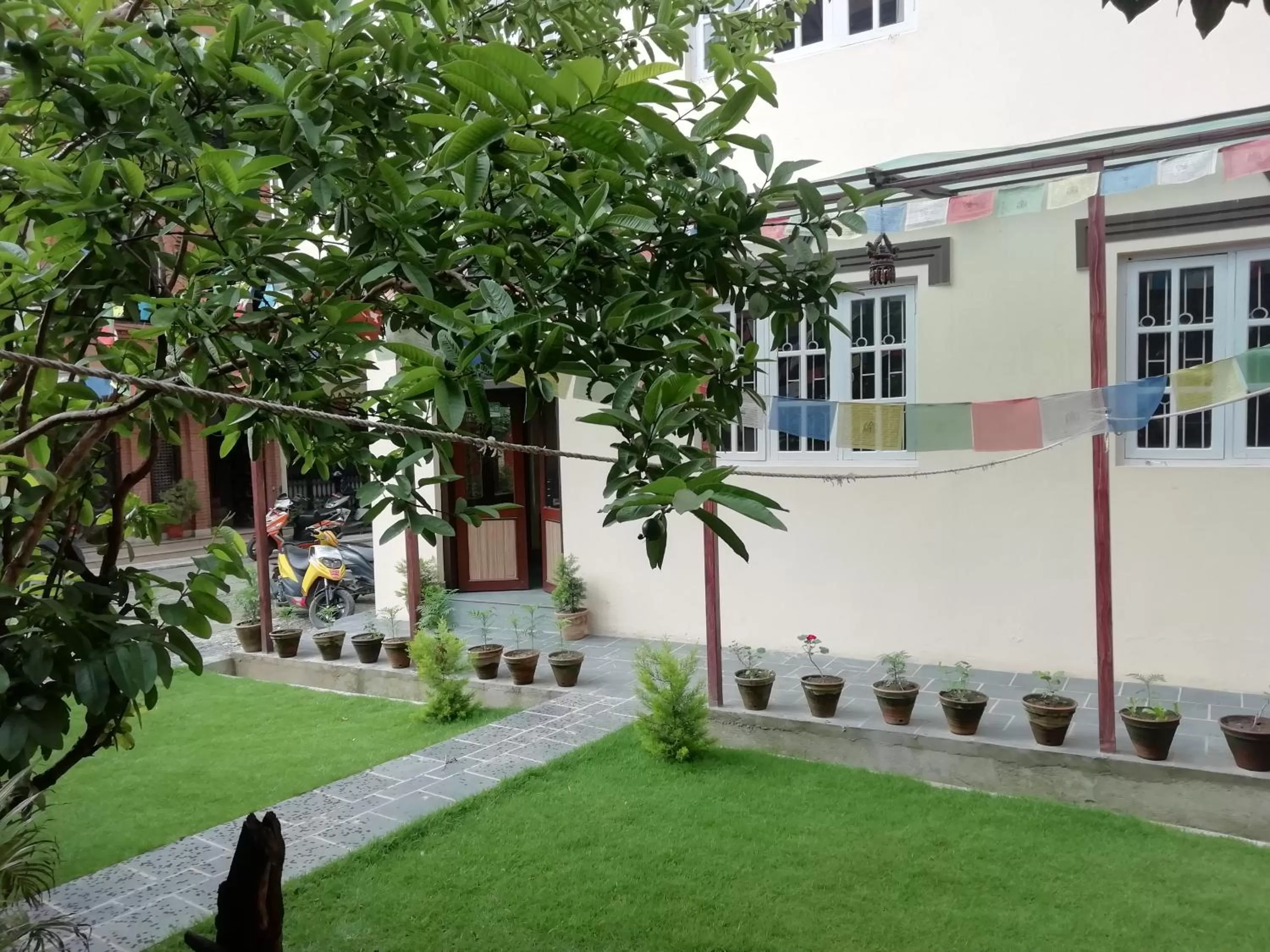 Garden in Hotel Chhimeki