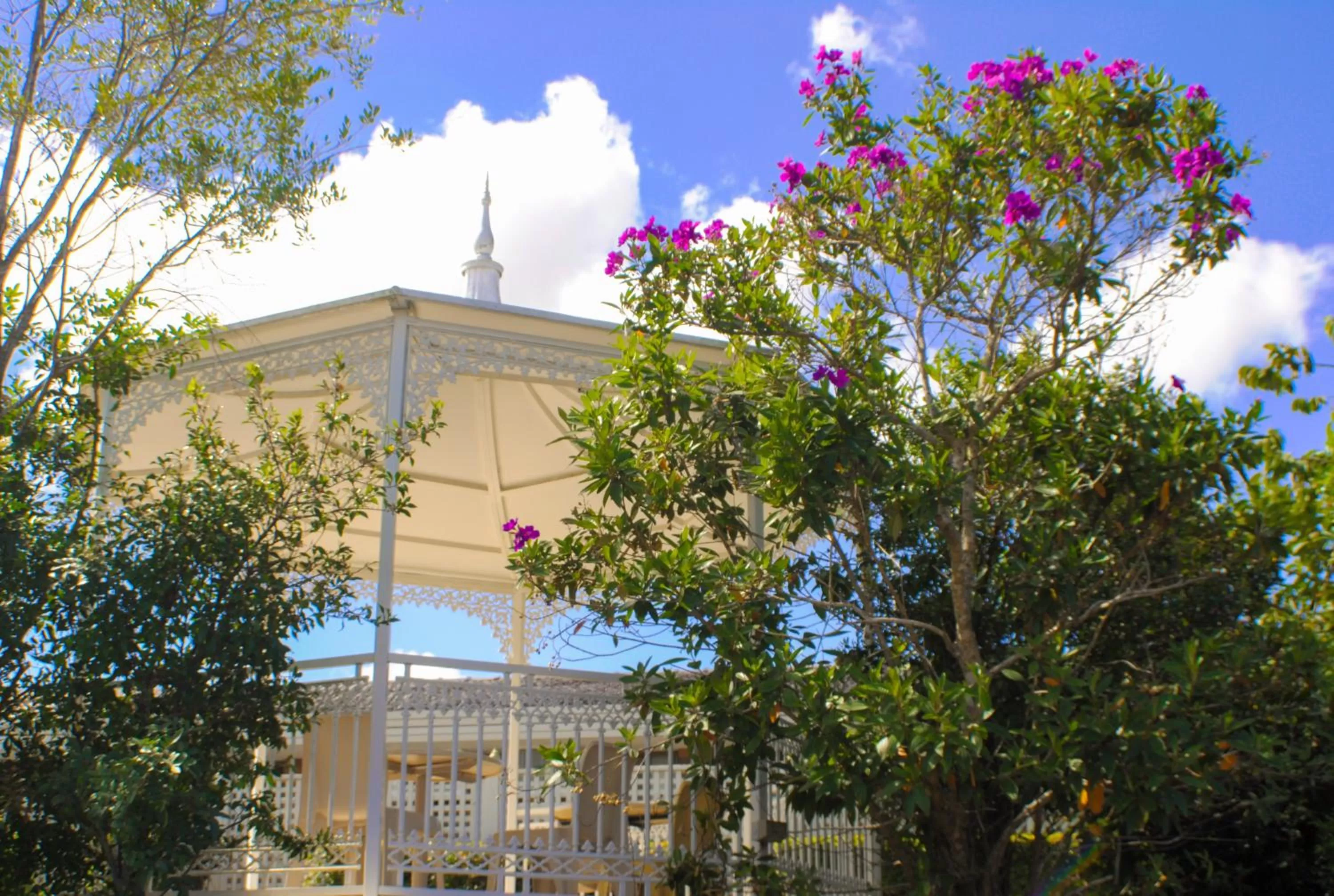 Natural landscape in Sunnybank Star Hotel