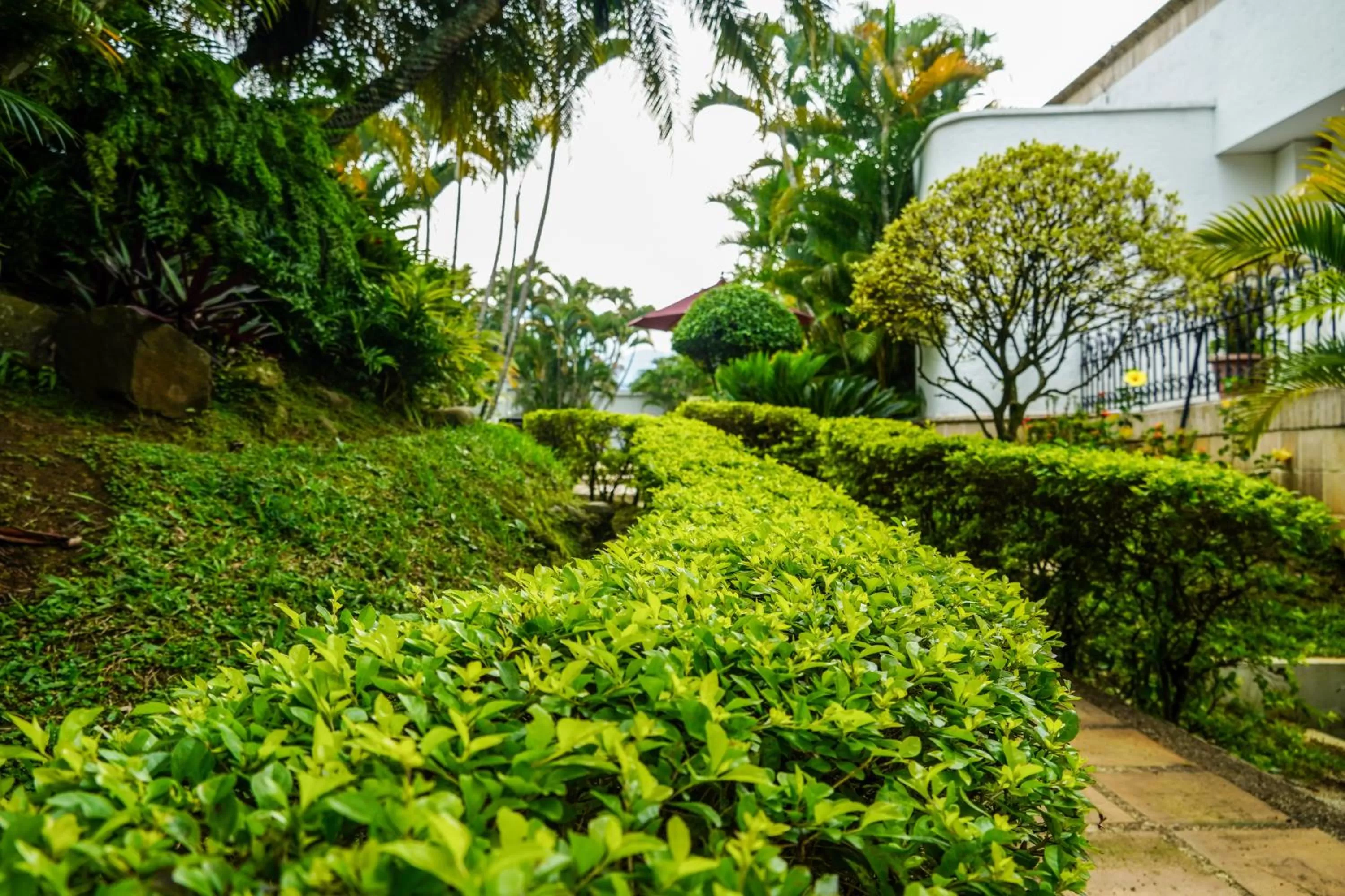 Hotel Boutique Villa Casuarinas