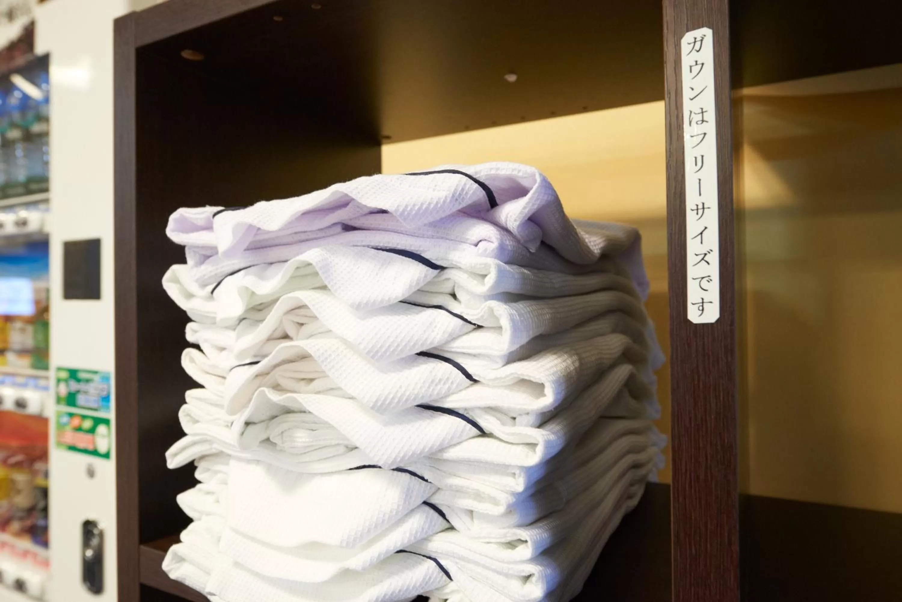 Other in Hotel Select Inn Nishinasuno