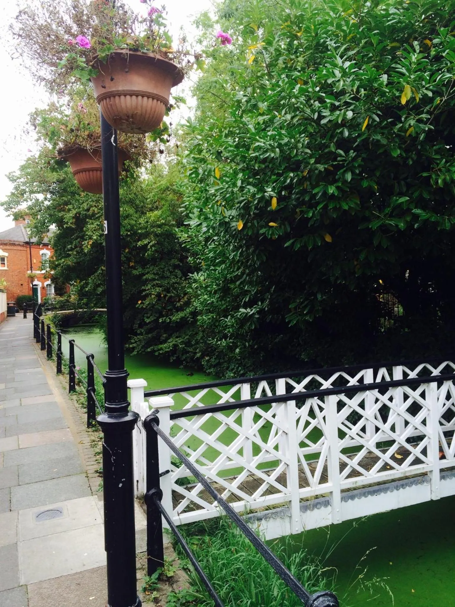 Area and facilities in Holtwhites Hotel