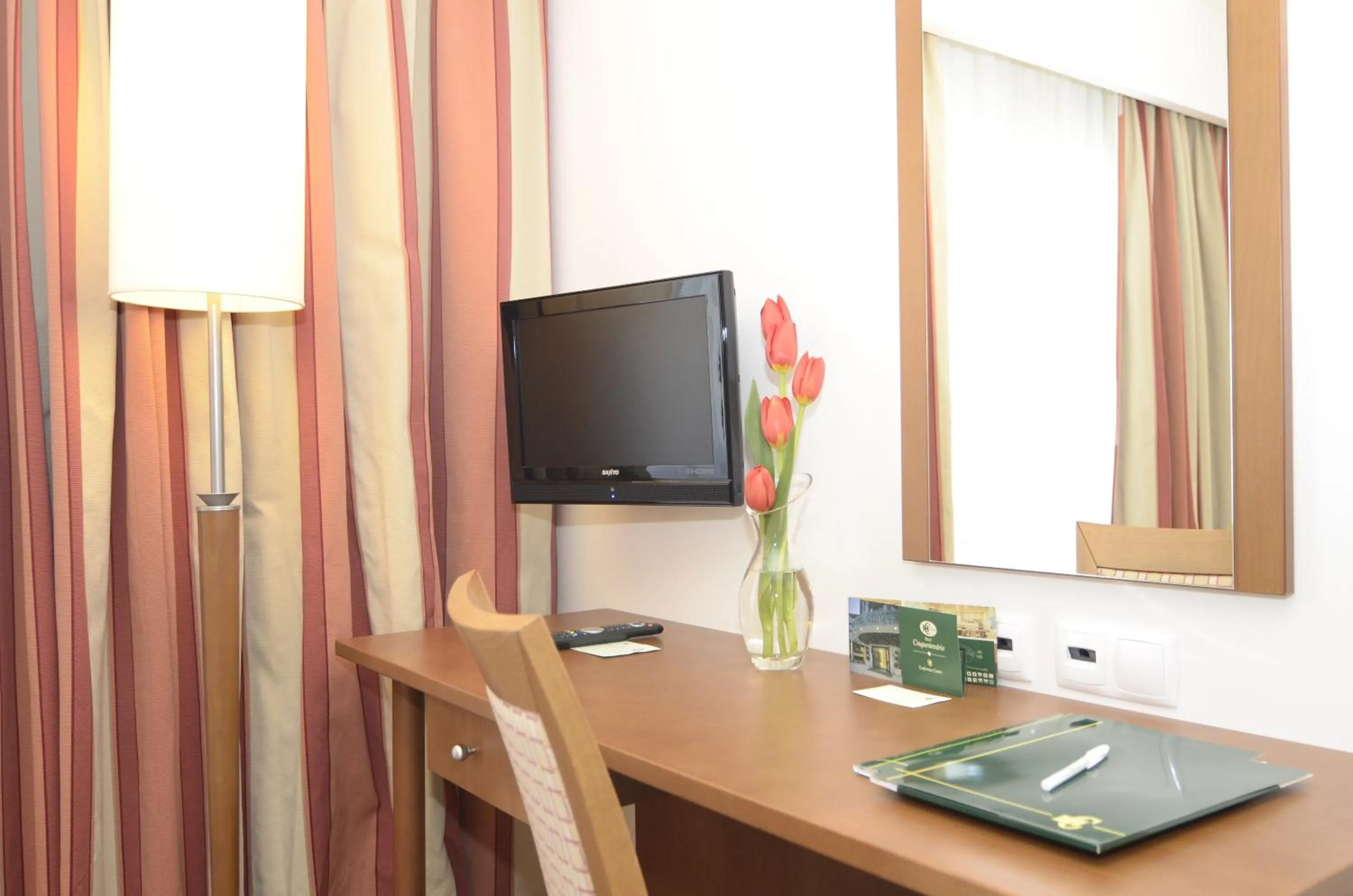 TV and multimedia in Hotel Cinquentenario & Conference Center