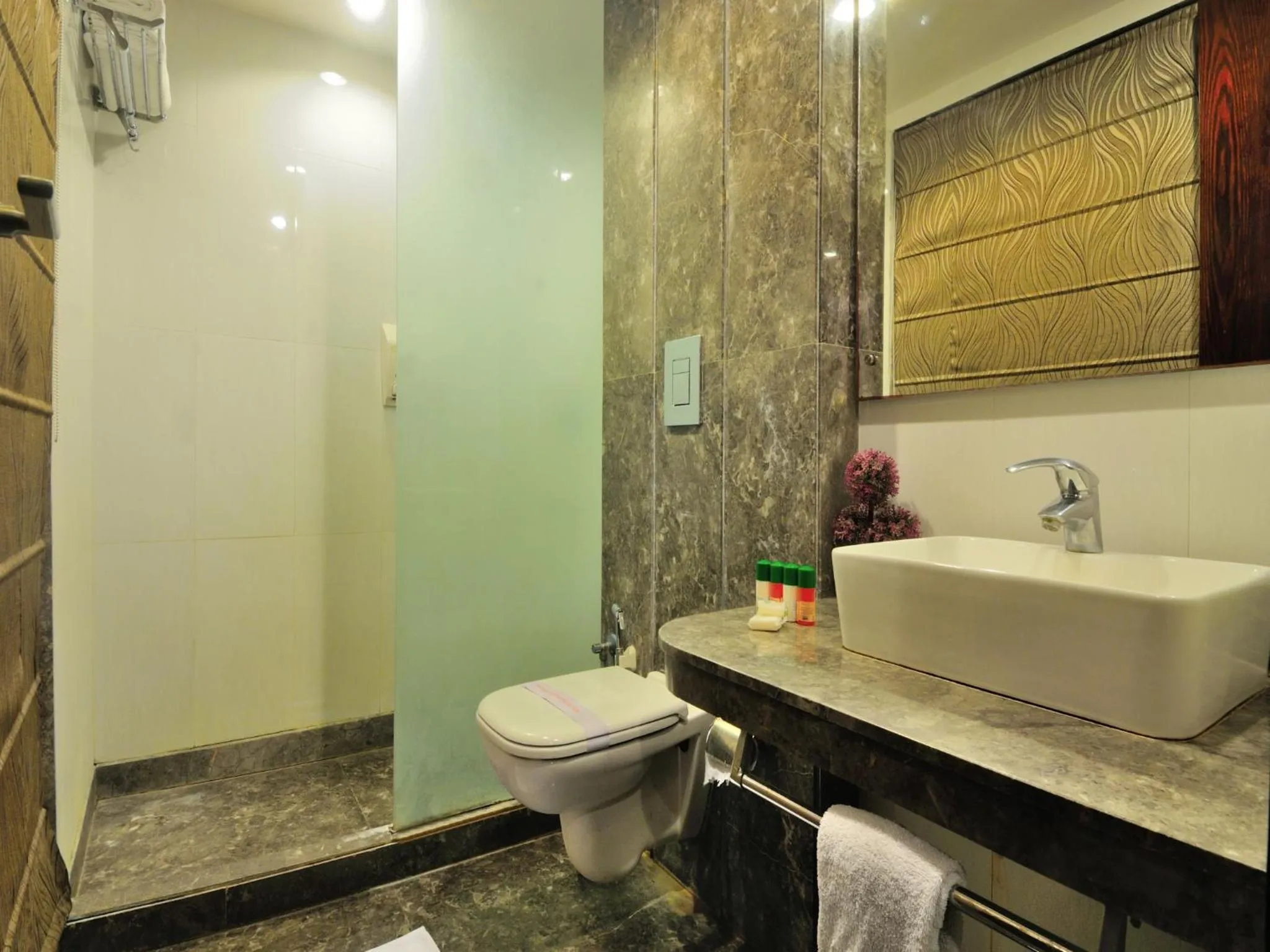 Toilet in Hotel Elegance