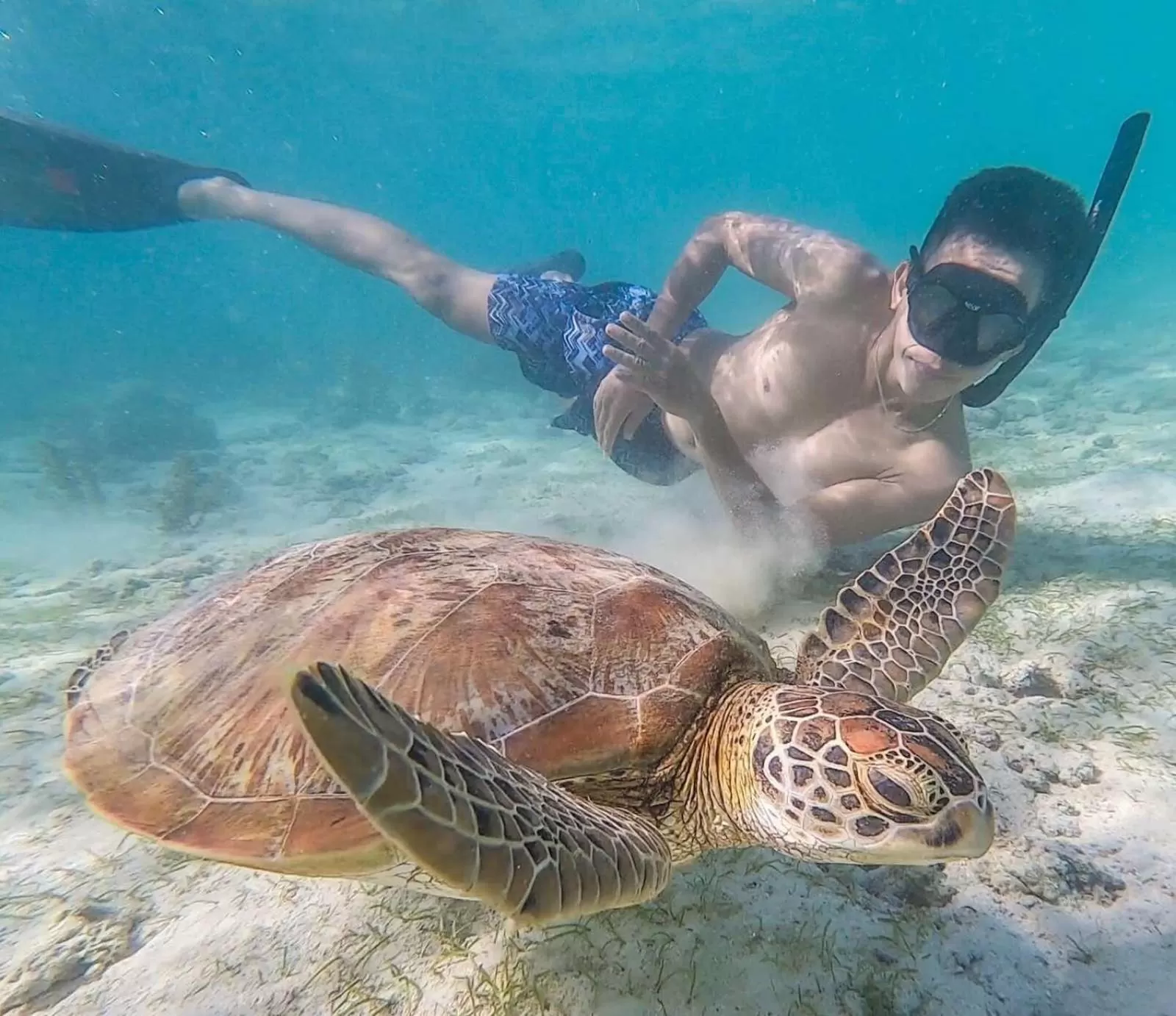 Snorkeling in Pescador View - Beach Resort & Restaurant