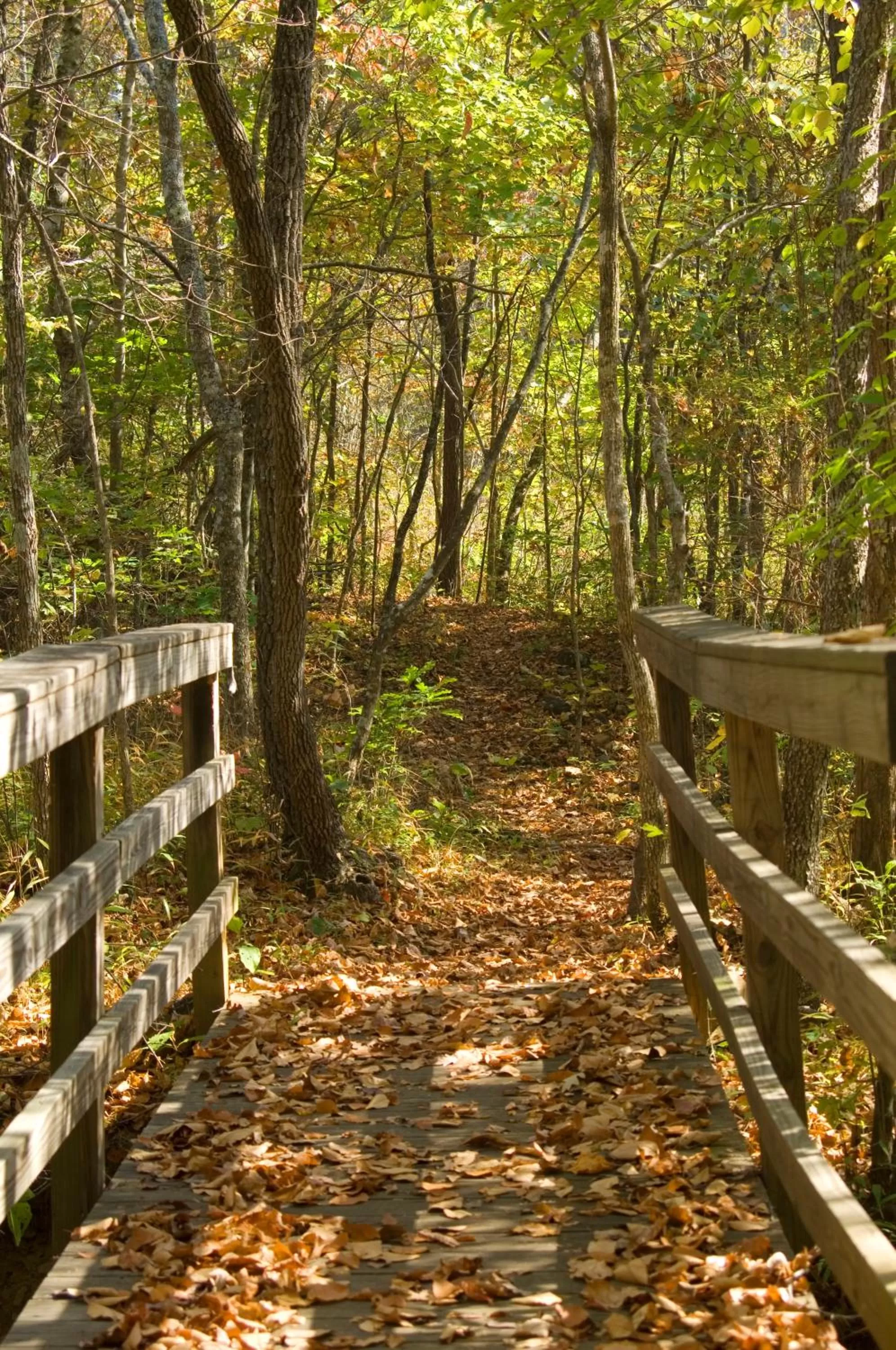 Hiking in Brasstown Valley Resort & Spa