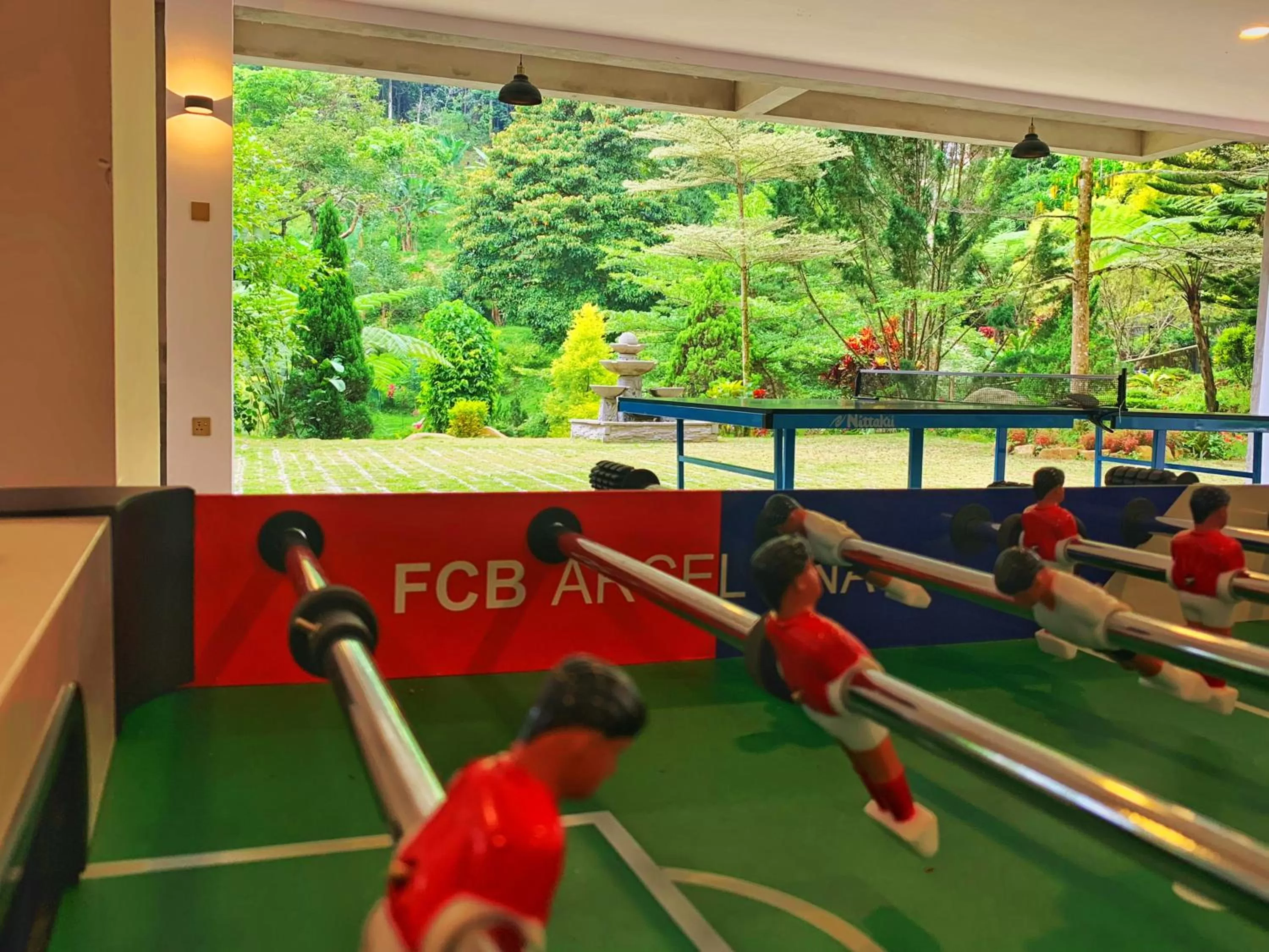 Game Room in Harmony Valley Retreat