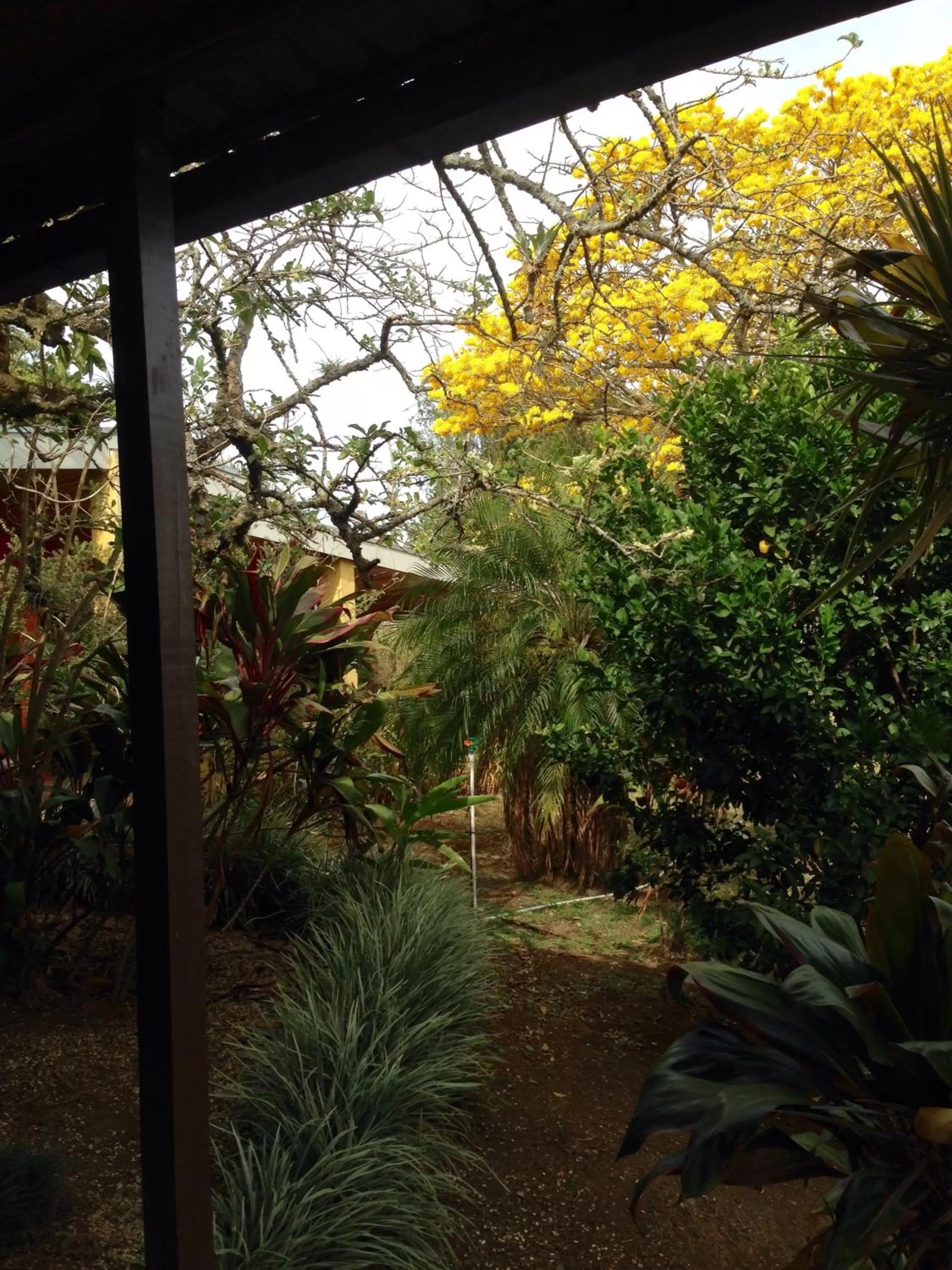 Day in ApartHotel Villa Pacande & Rooms