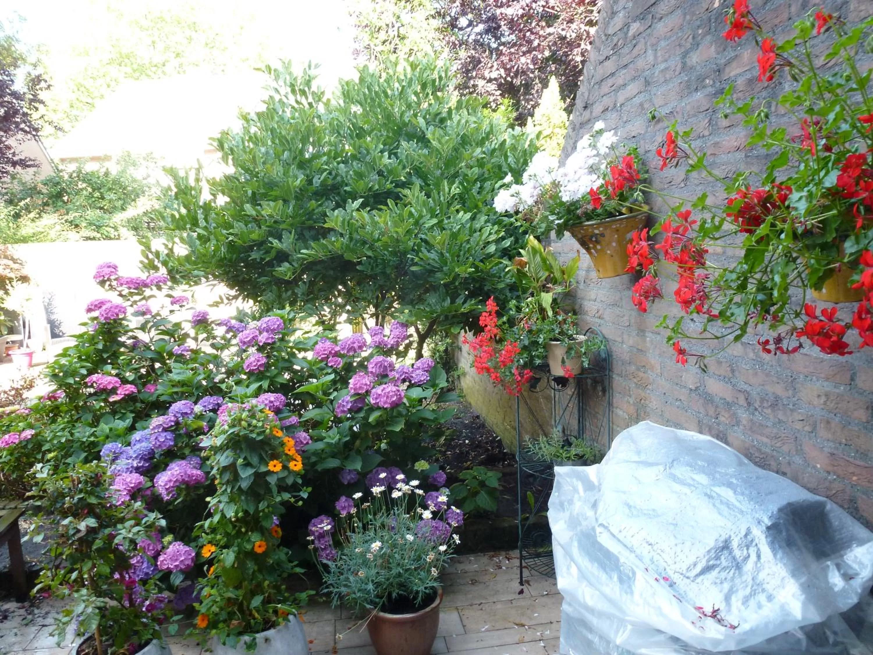 Garden in B&B Acacia