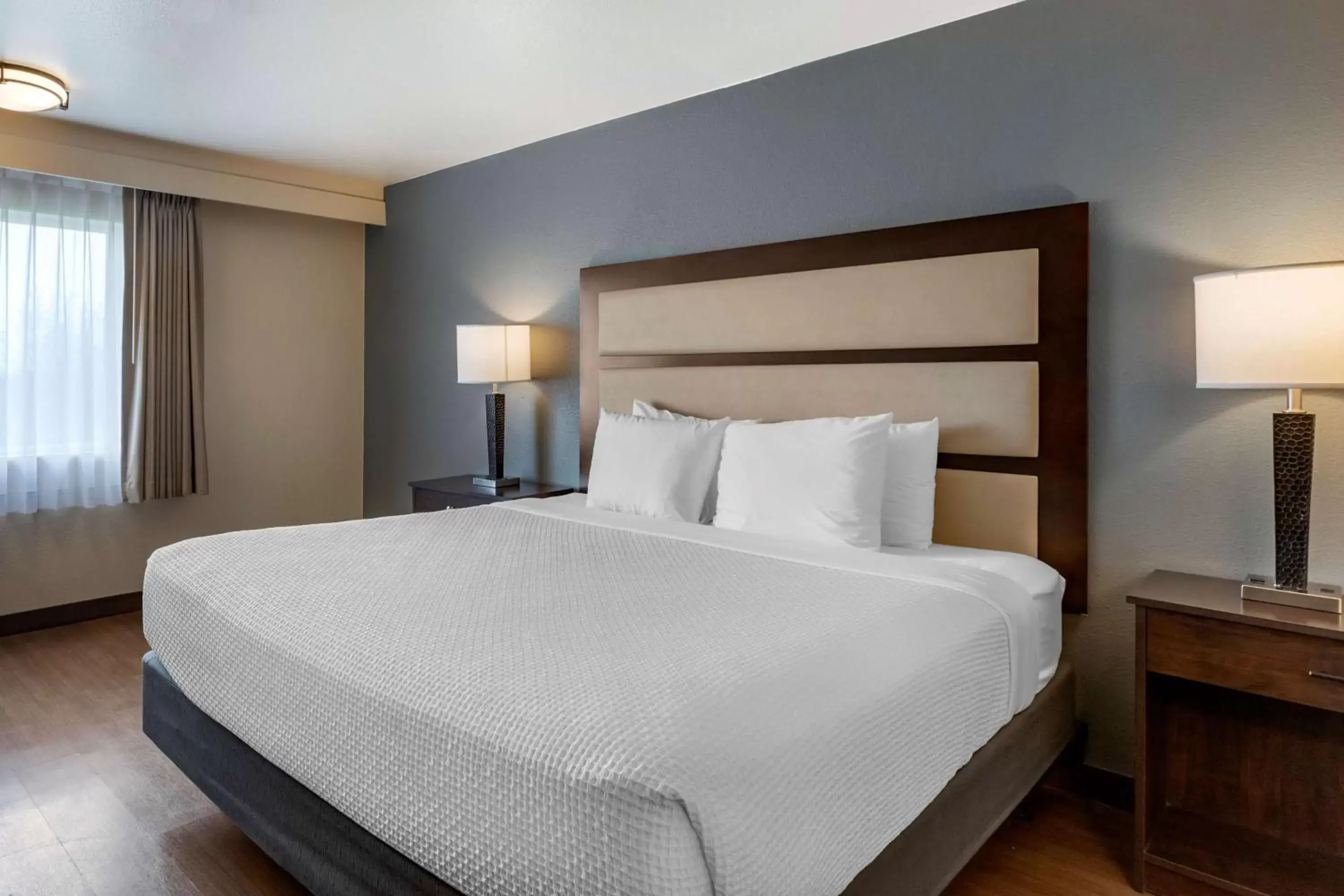 One-Bedroom King Suite in Best Western Sunridge Inn & Conference Center One-Bedroom King Suite in Best Western Sunridge Inn & Conference Center