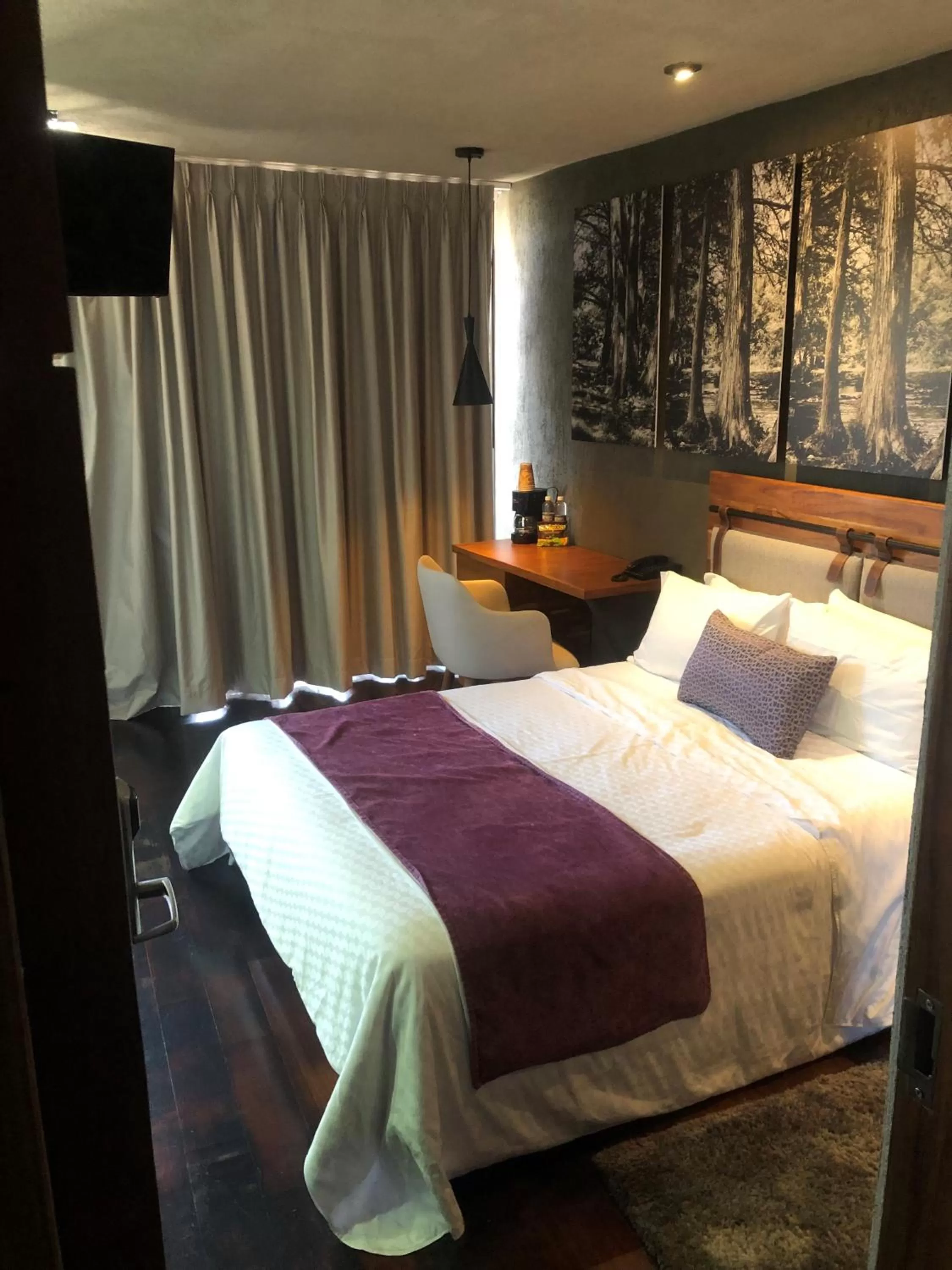 Bed in Gamma Monterrey Rincon de Santiago