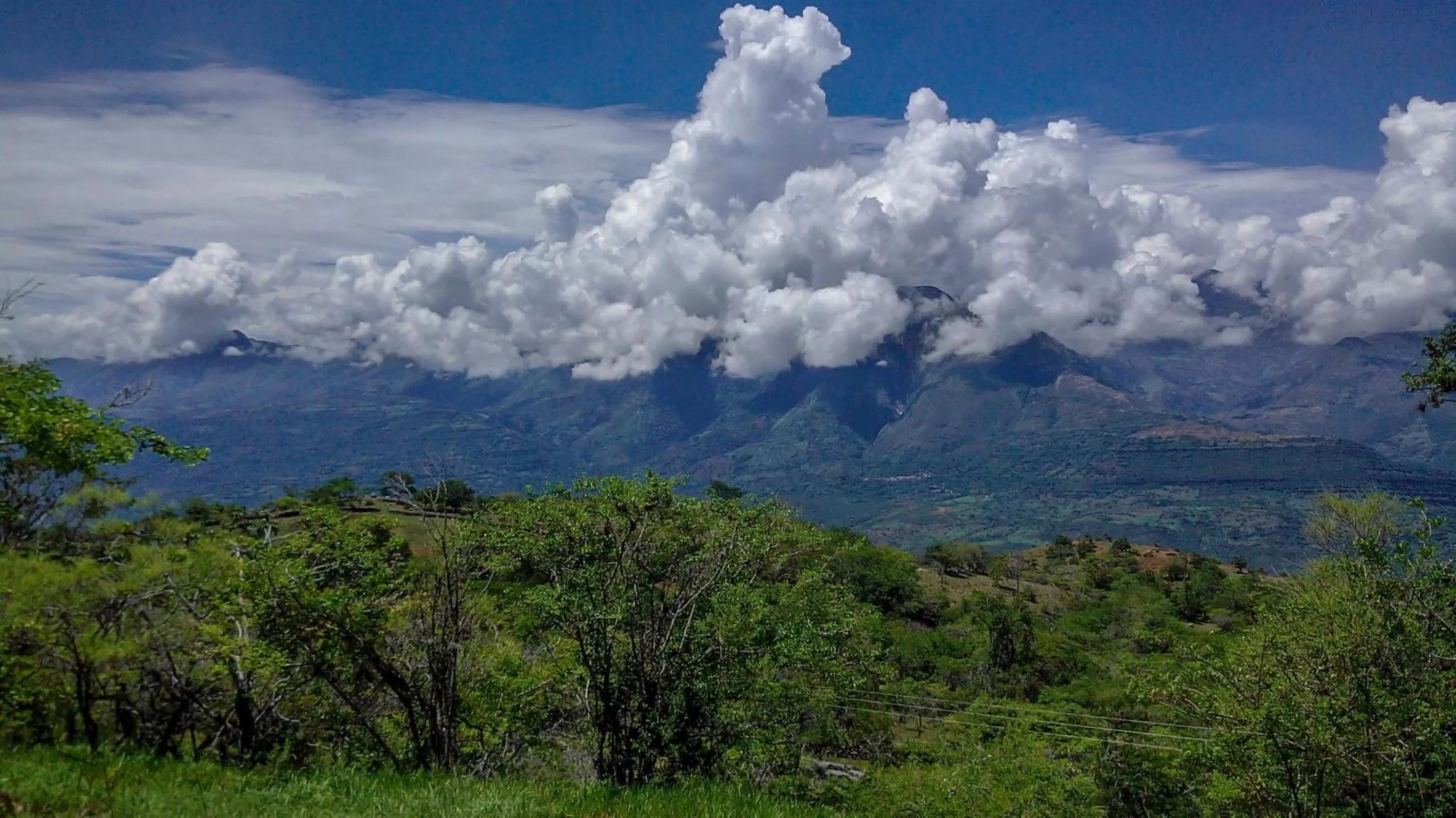 Garden in El Paraiso - B&B Finca San Vicente