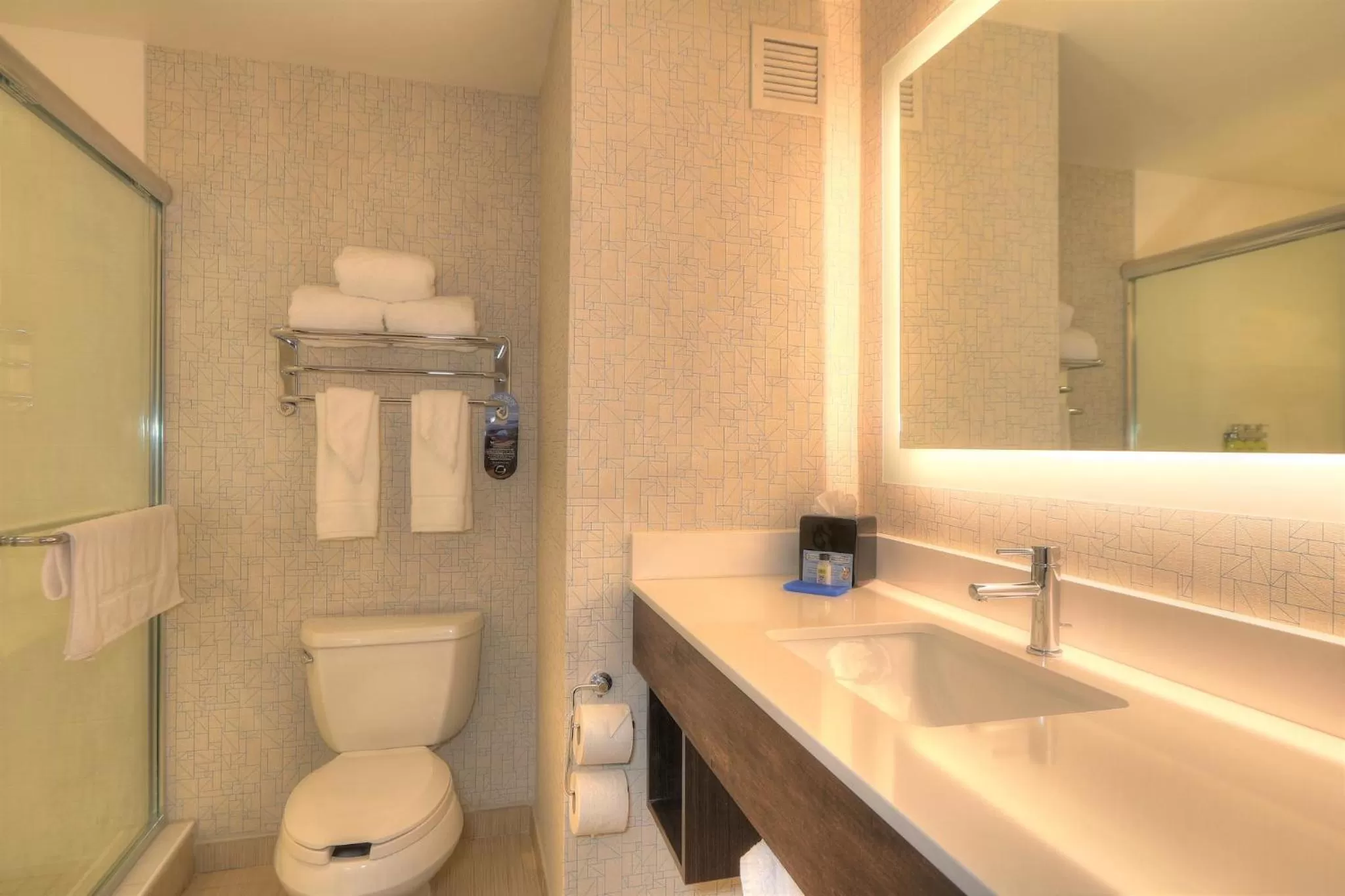 Bathroom in Holiday Inn Express Hotel & Suites Mobile Saraland by IHG