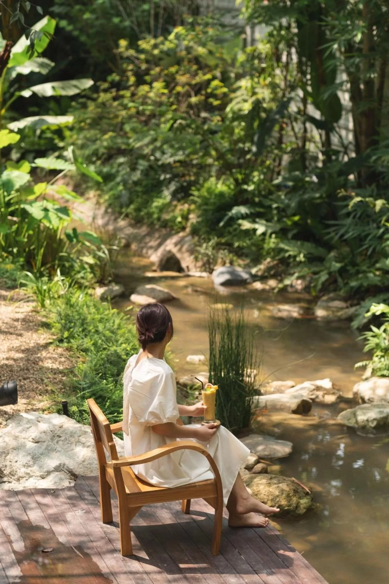 Natural landscape in Proud Phu Fah Muang Chiang Mai