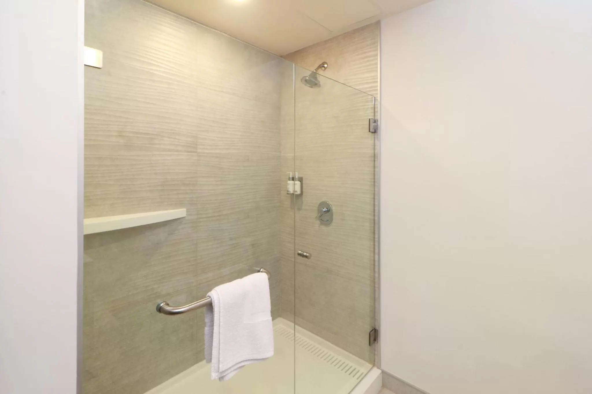 Bathroom in Holiday Inn Express San Luis Potosí by IHG