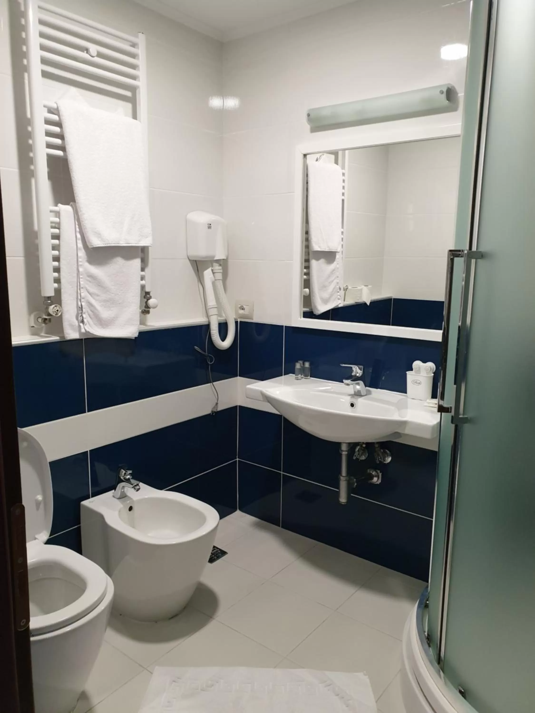 Shower, Bathroom in Hotel Millennium