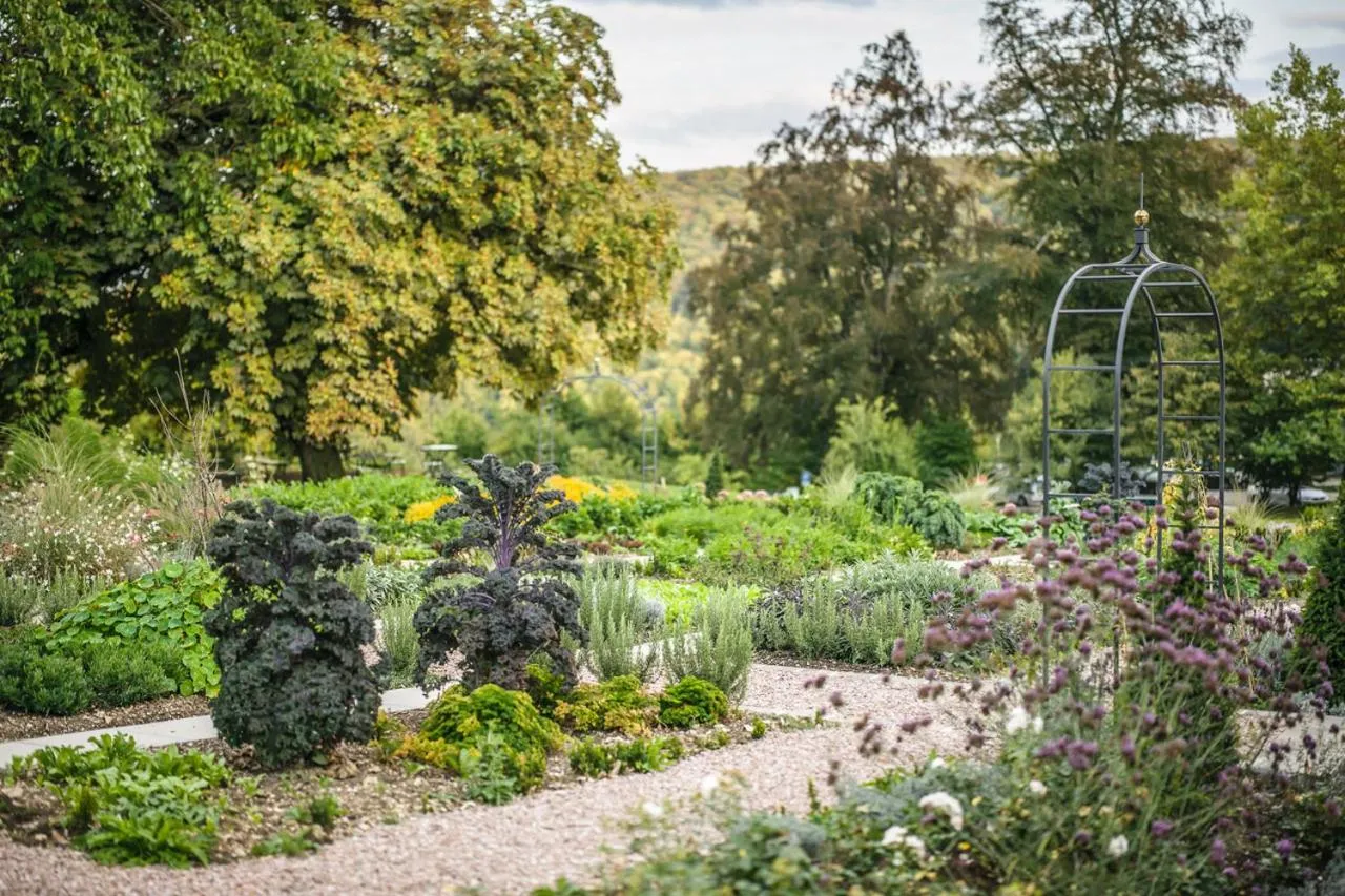 Spring in Bad Schauenburg