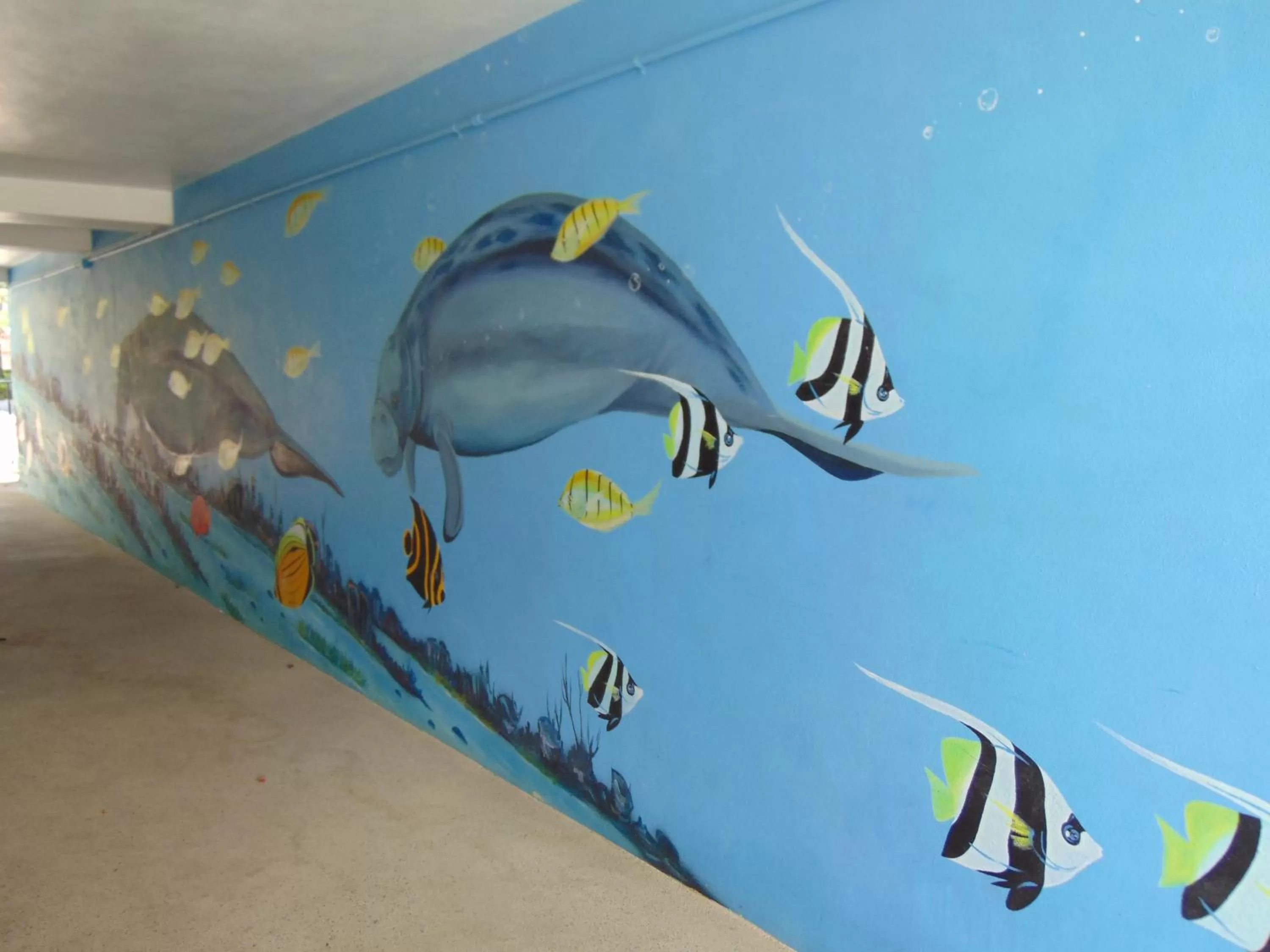 Decorative detail in Dolphin Key Resort - Cape Coral