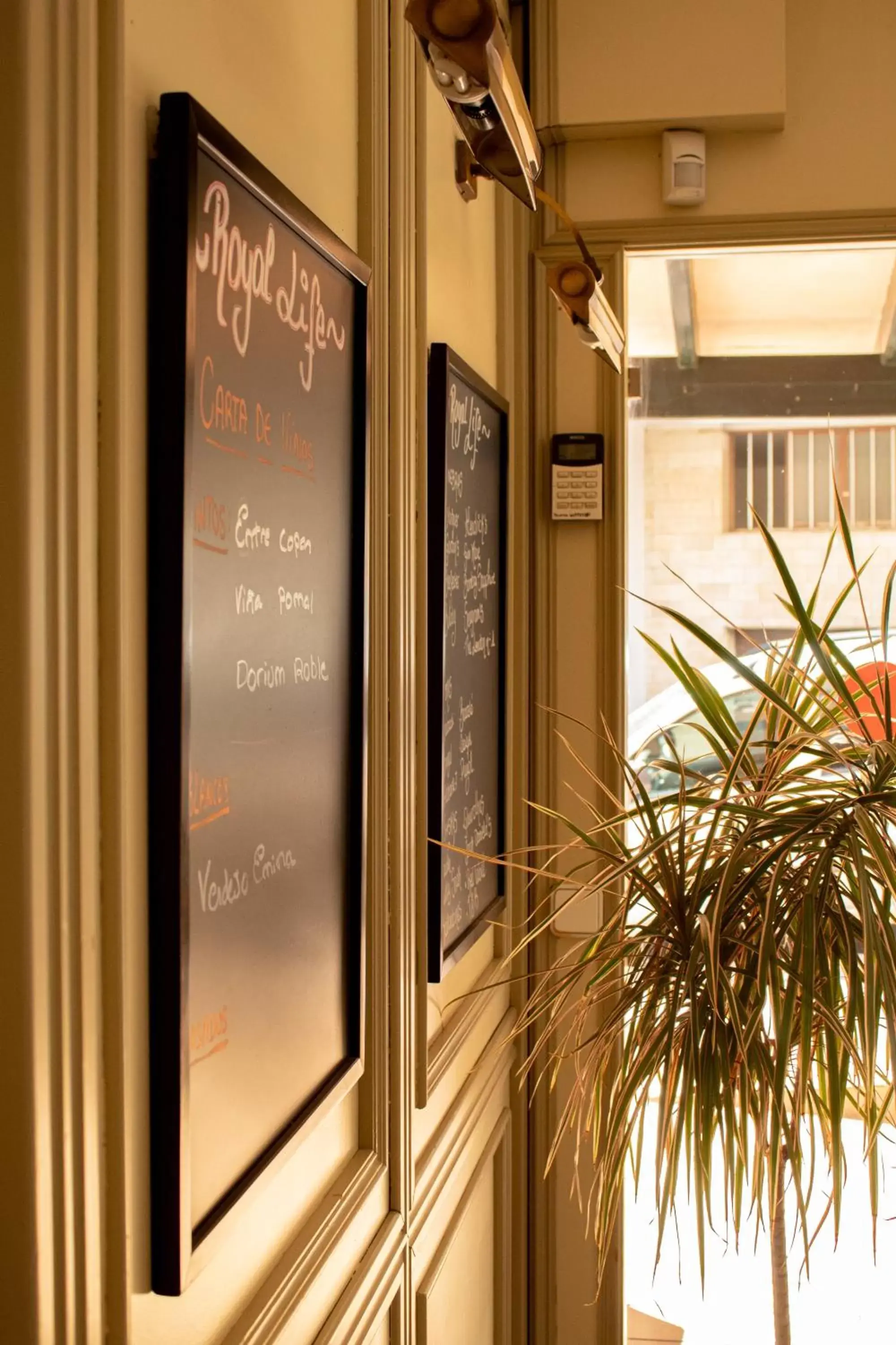 Apartamentos Royal Life Apartamentos Royal Life