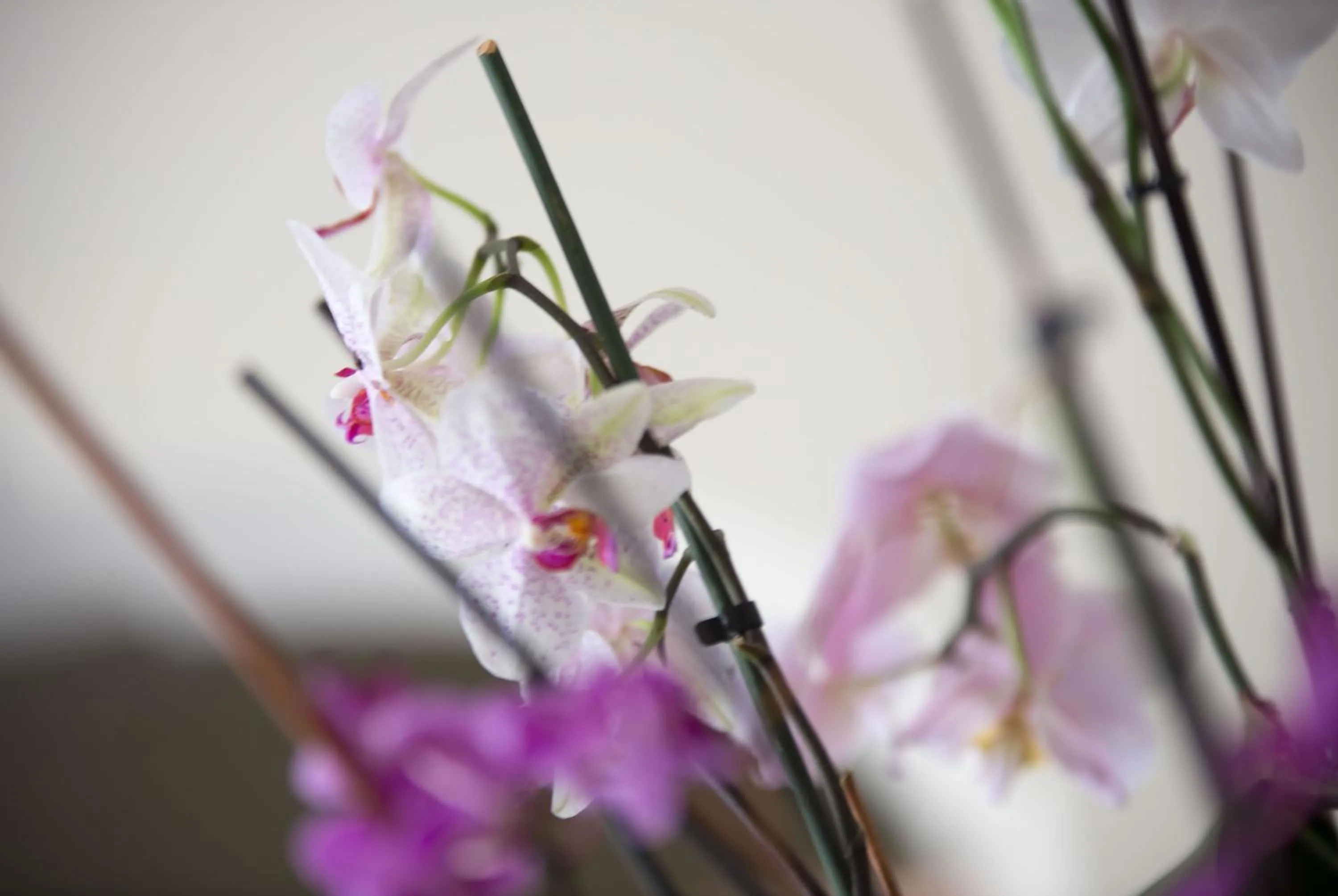 Decorative detail in Hotel Internazionale