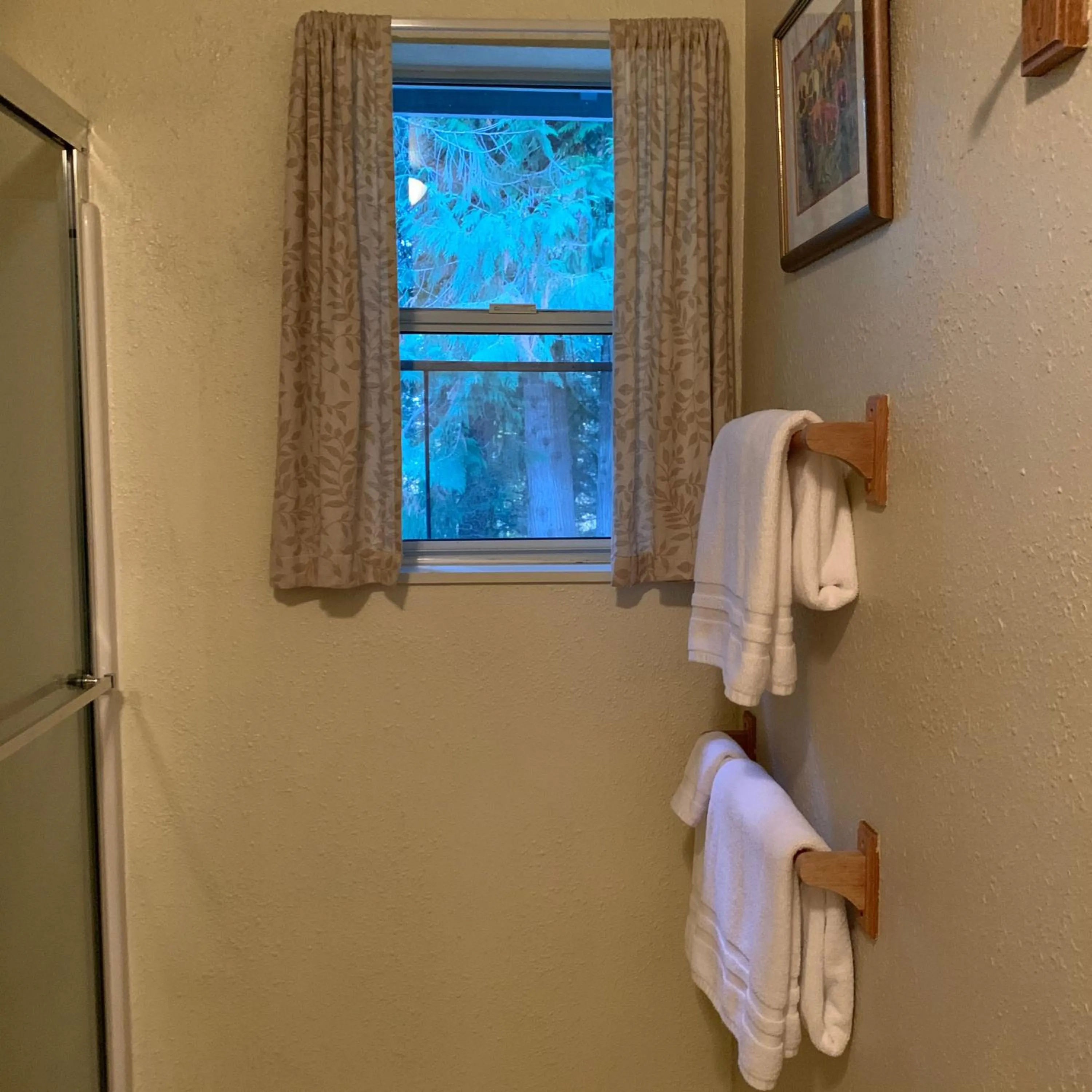 towels in Mountain Meadows Inn & Chalet Suites