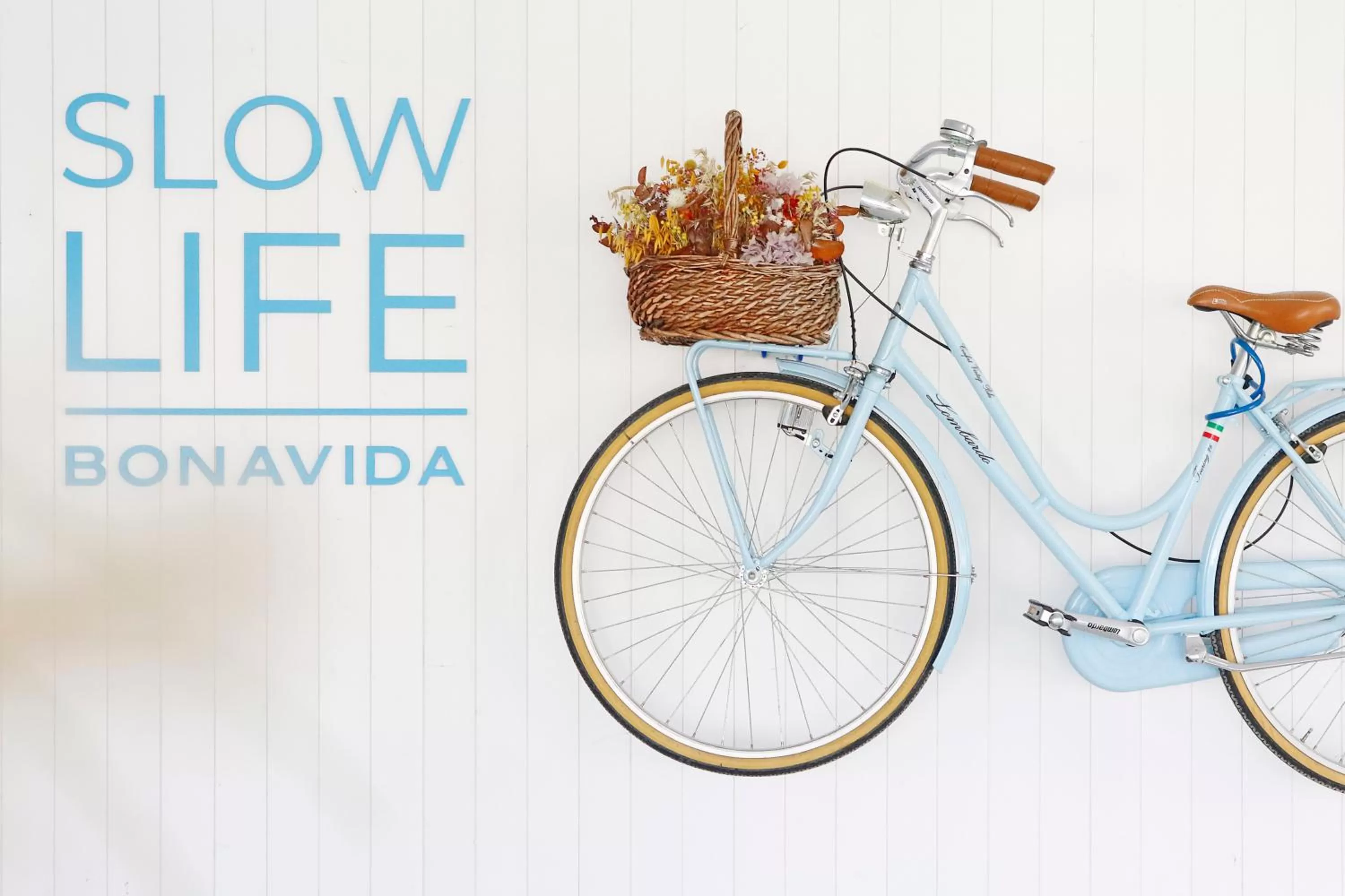 Area and facilities in Bonavida Apartments