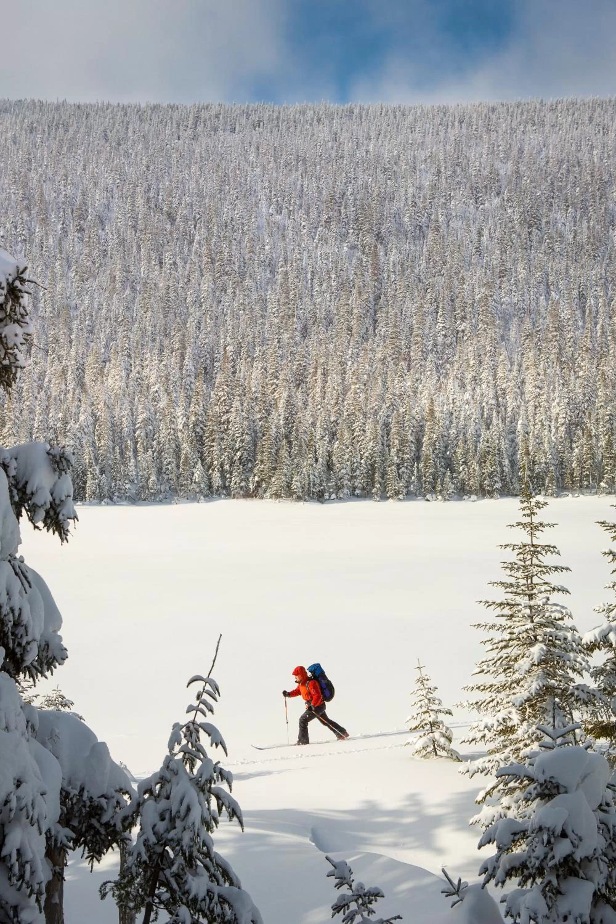Natural landscape in Gîte du Mont-Albert - Sepaq