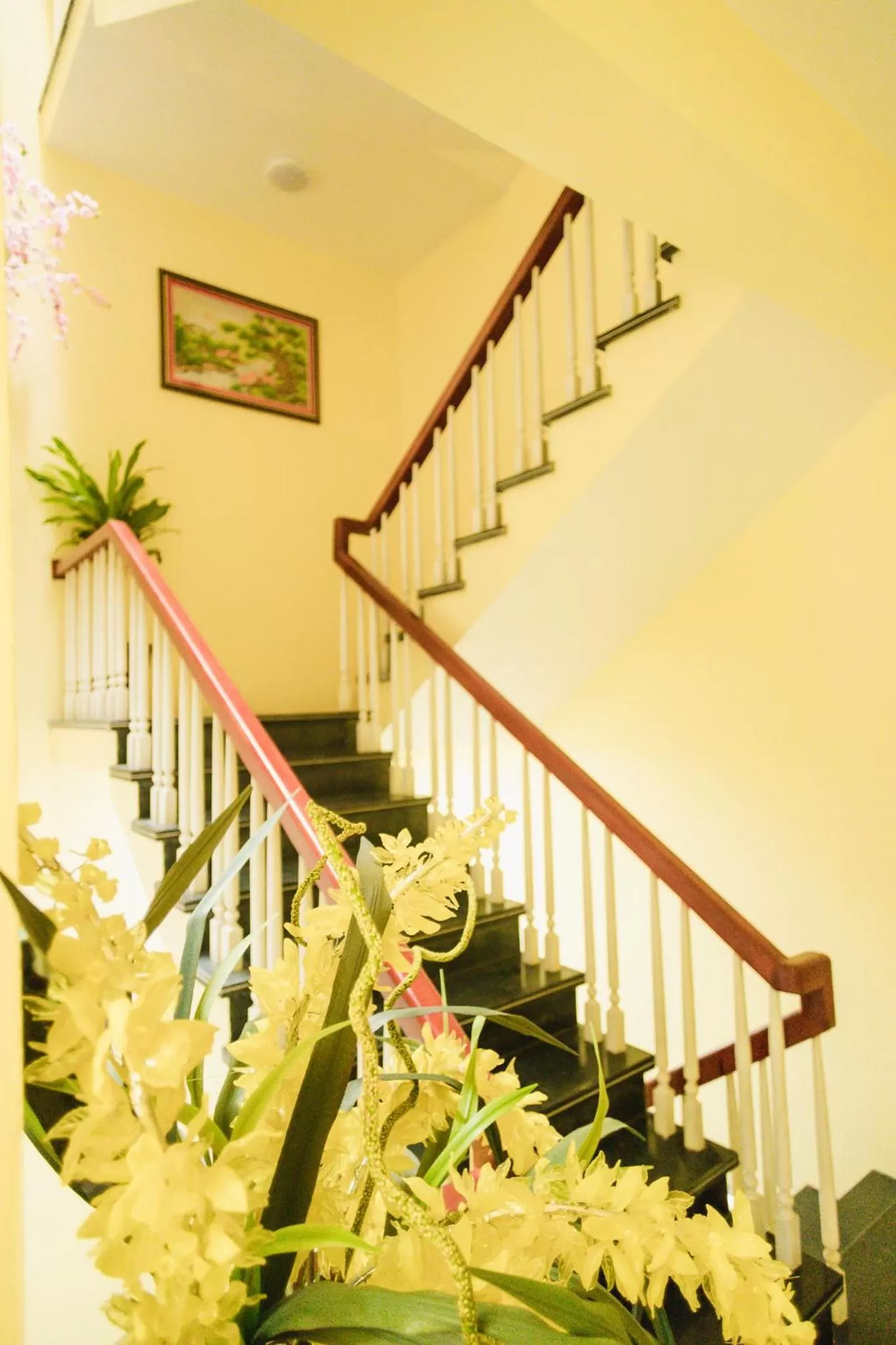 Property building in Mio Hotel