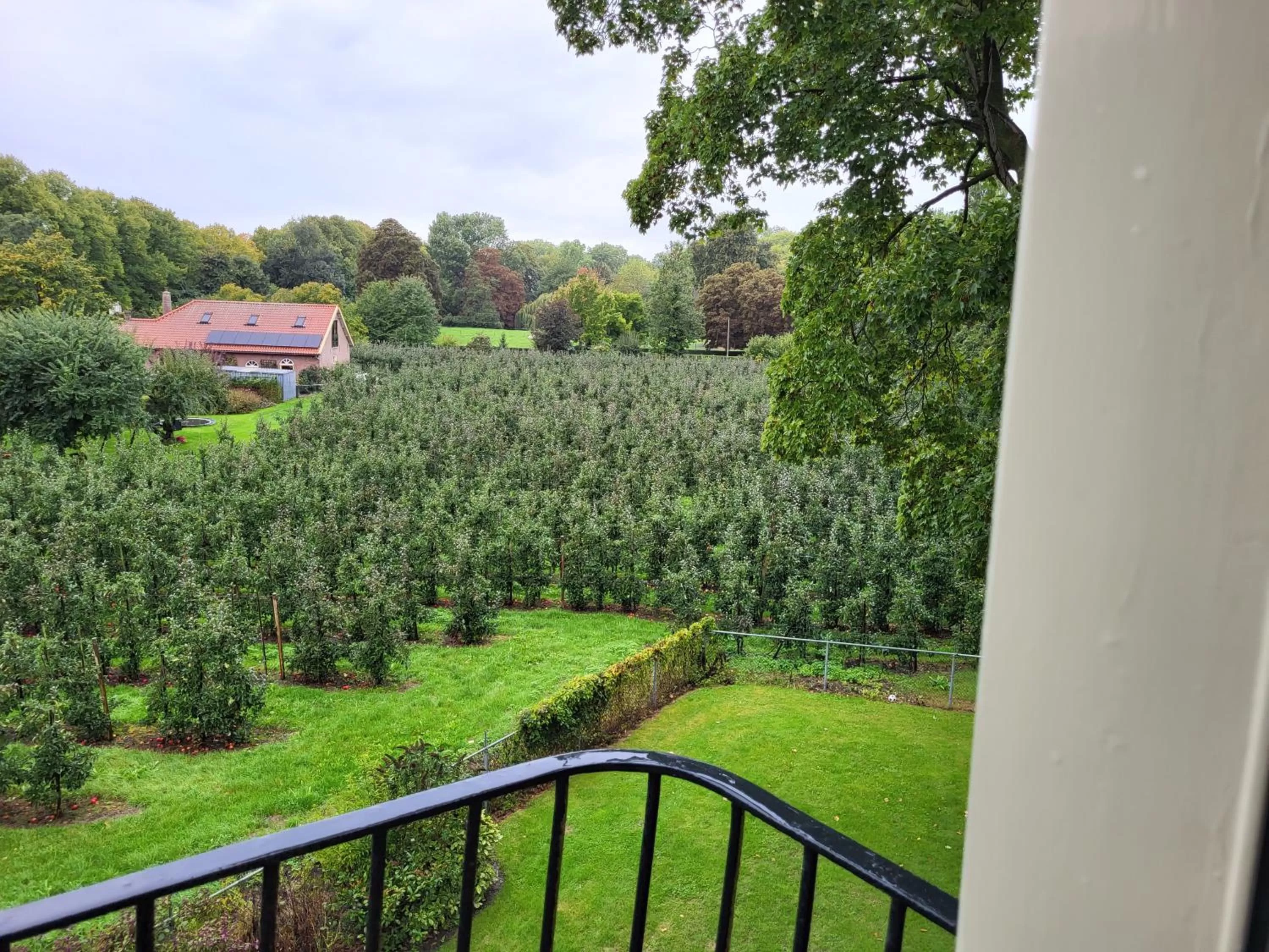 Garden view in De Gouden Molen