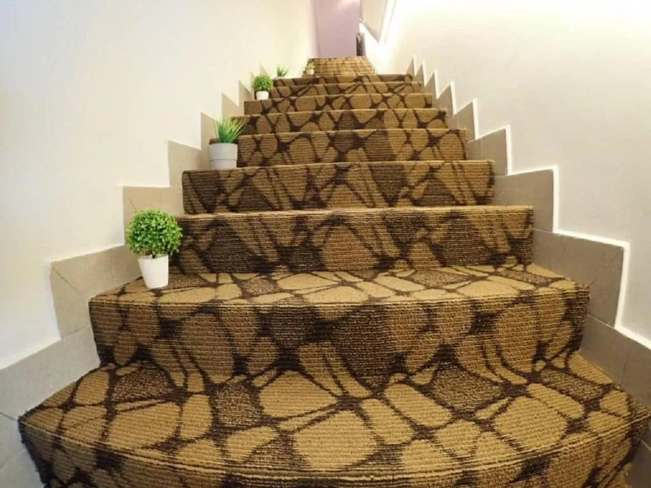 Area and facilities in Apex Boutique Hotel @ Bandar Sunway