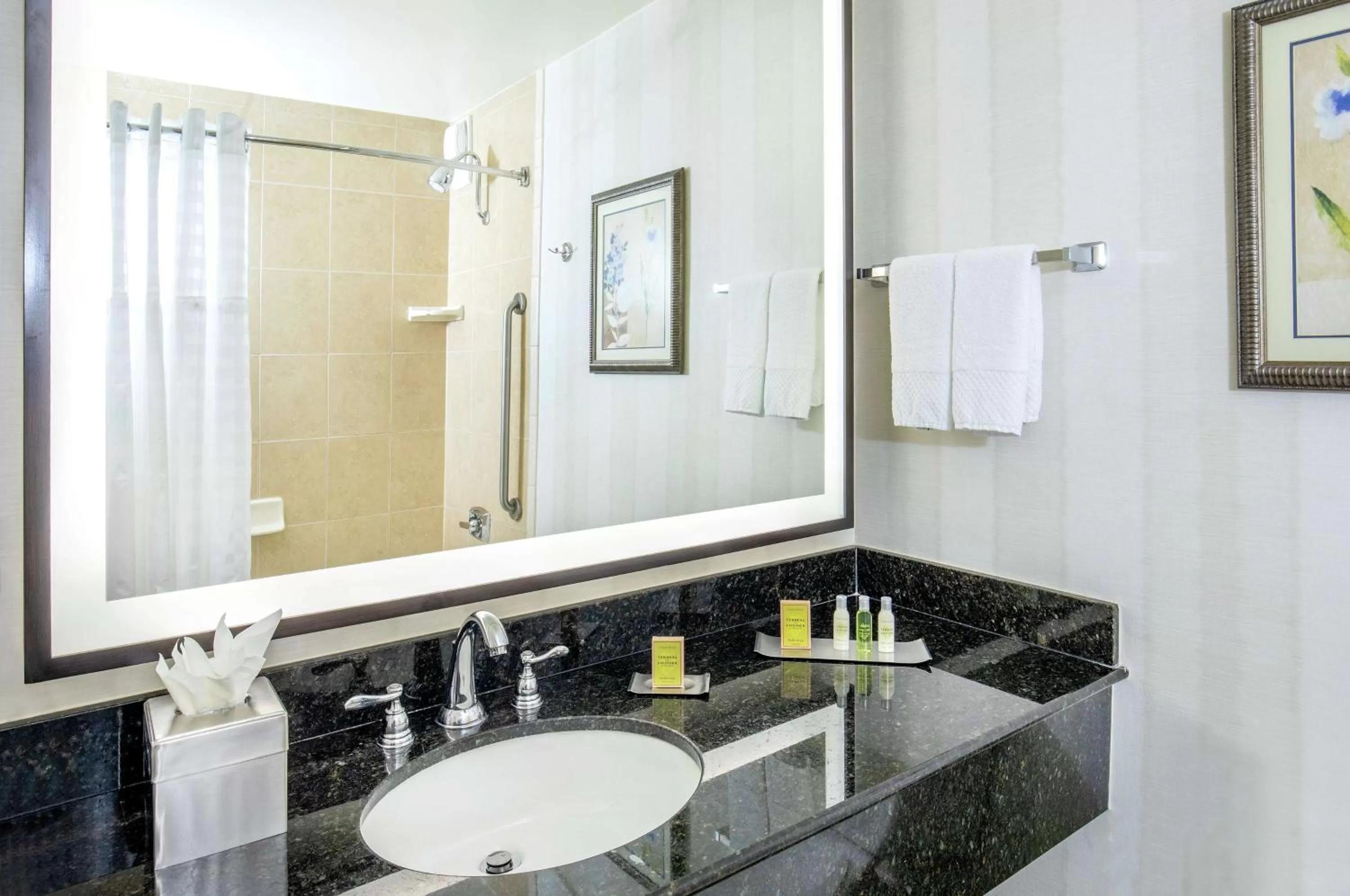 Bathroom in DoubleTree by Hilton Hotel Nashville Downtown