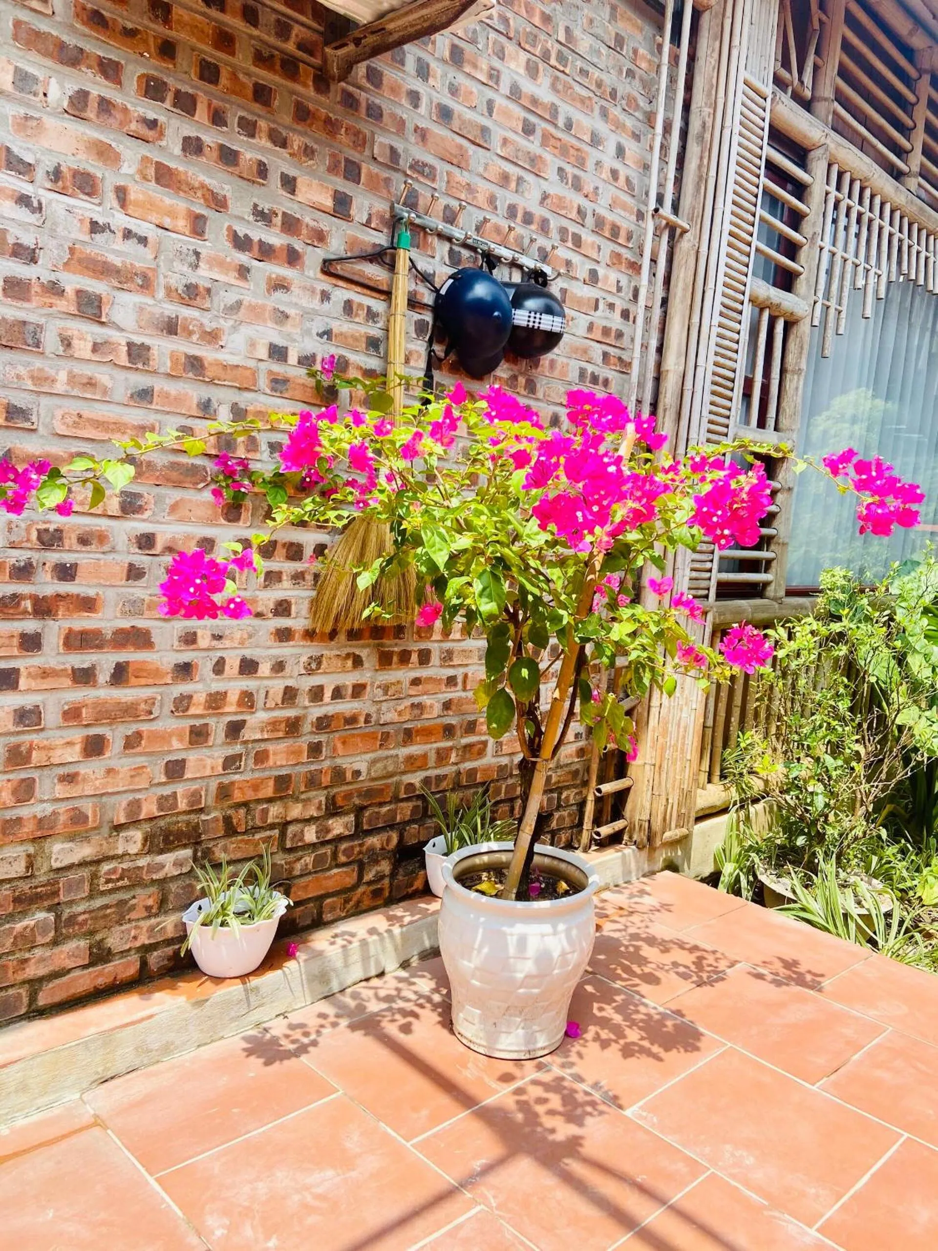 Tam Coc Mountain View Homestay