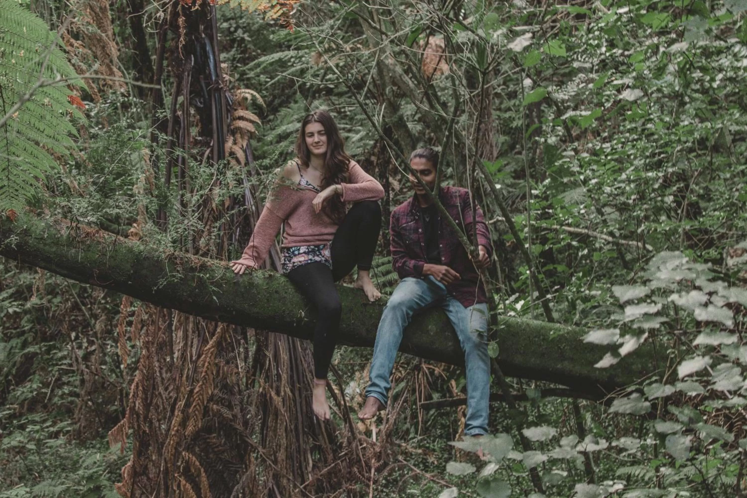 Natural landscape in Kawai Purapura Yoga Retreat Centre