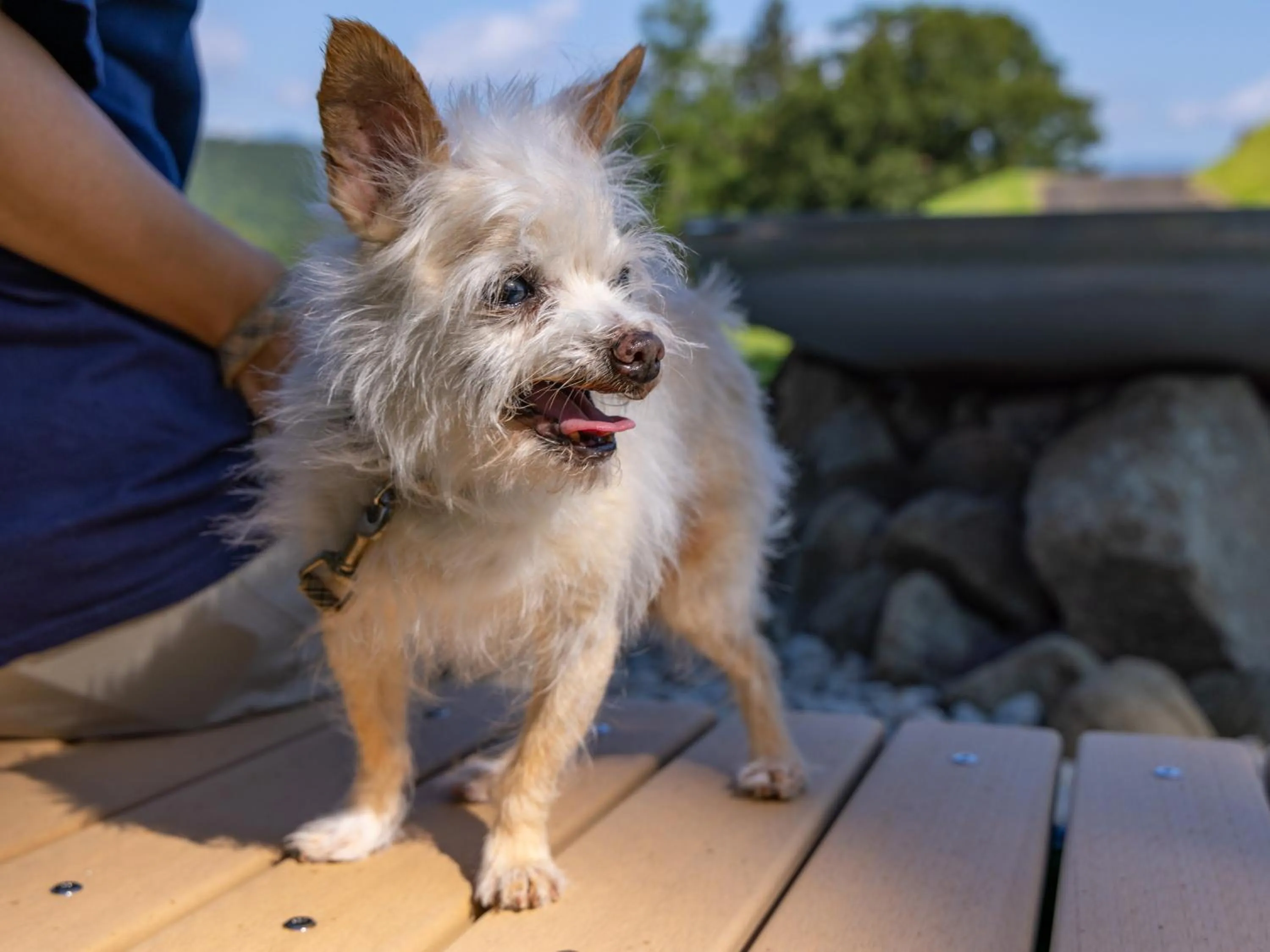 Animals in APA Hotel & Resort Joetsu Myoko