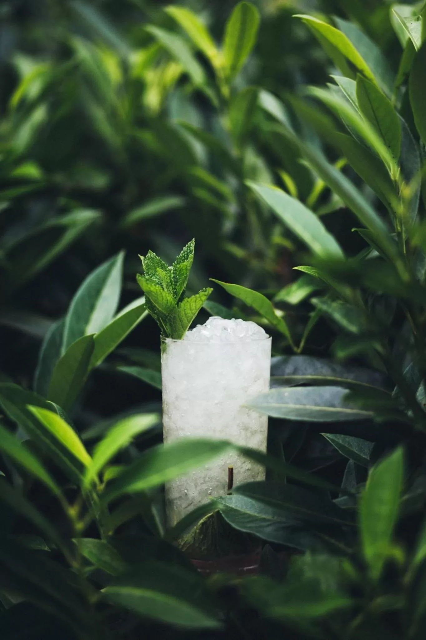 Lounge or bar in Loews Nashville Hotel at Vanderbilt Plaza