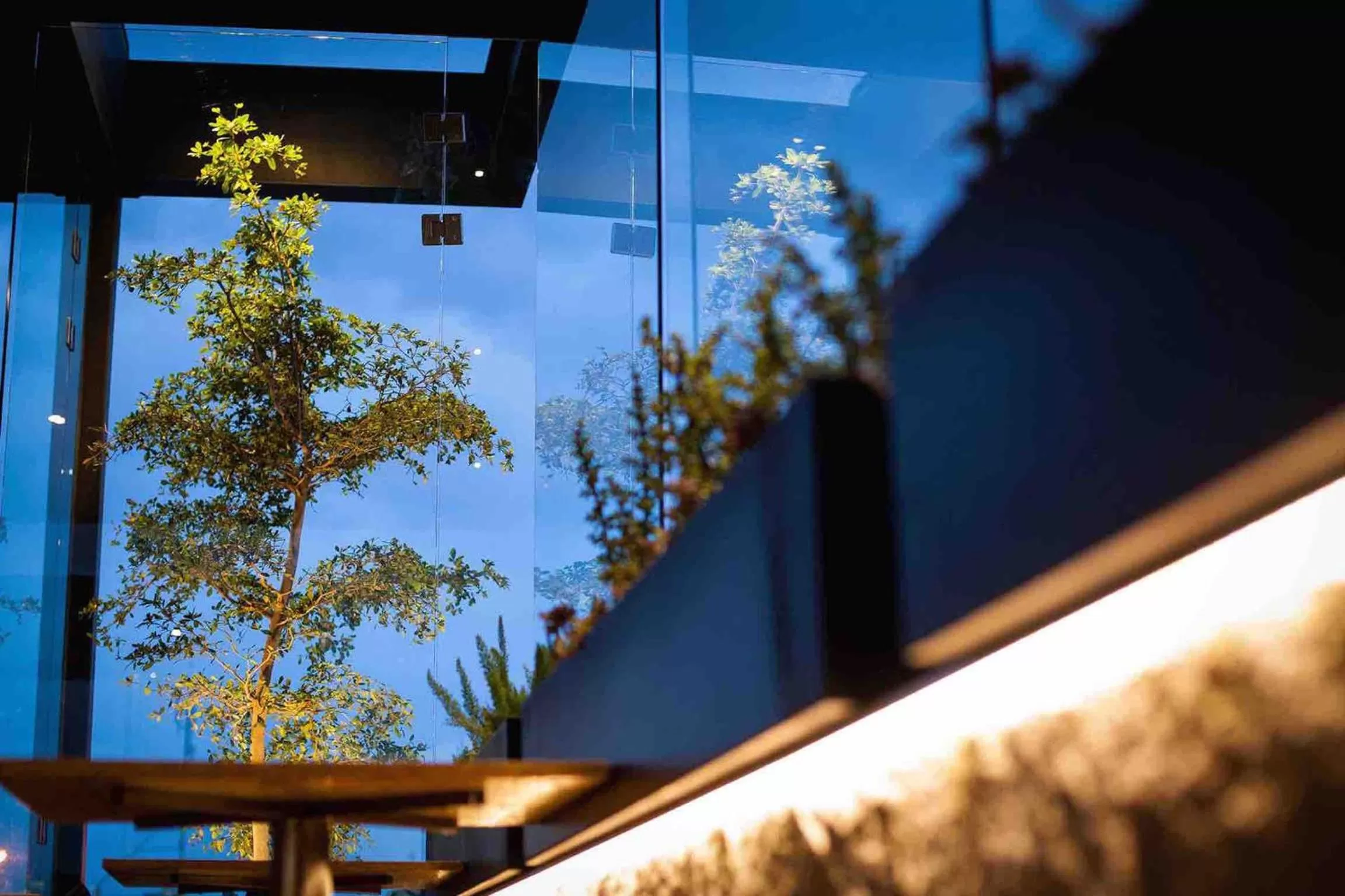 Area and facilities in Othelo Boutique Hotel Mexico