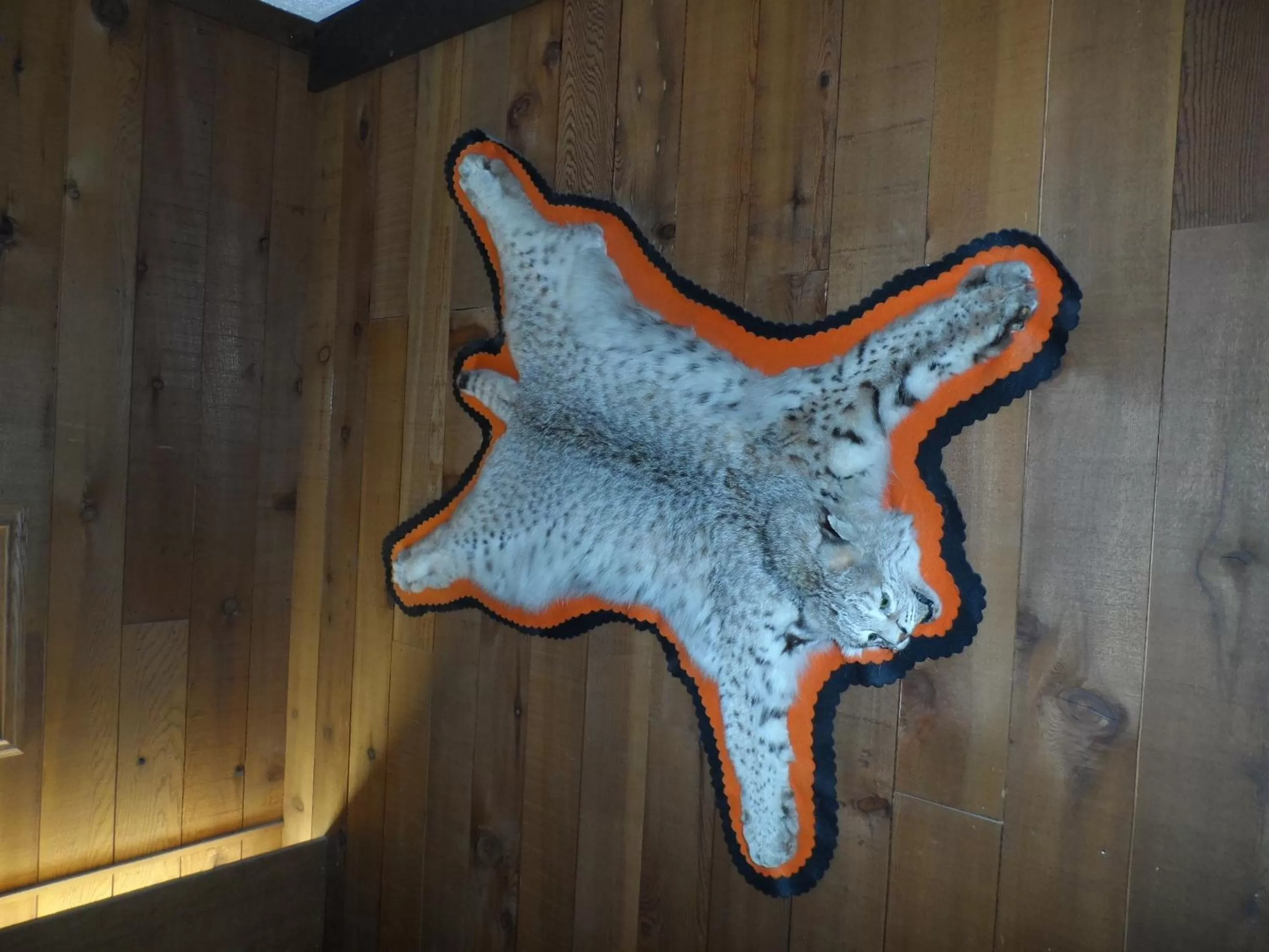 Lobby or reception in Bear Lodge Motel