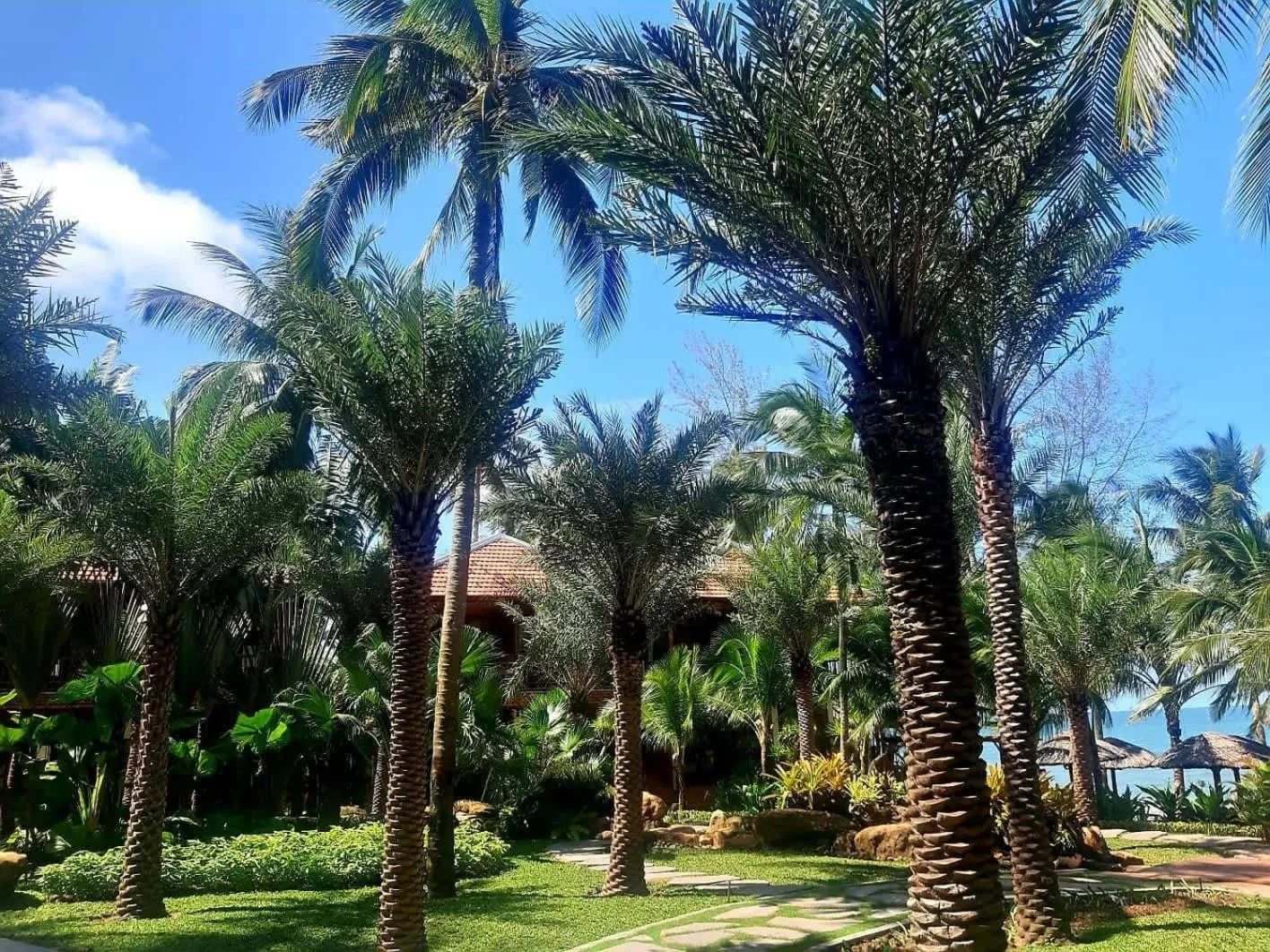 Garden in Coco Palm Beach Resort